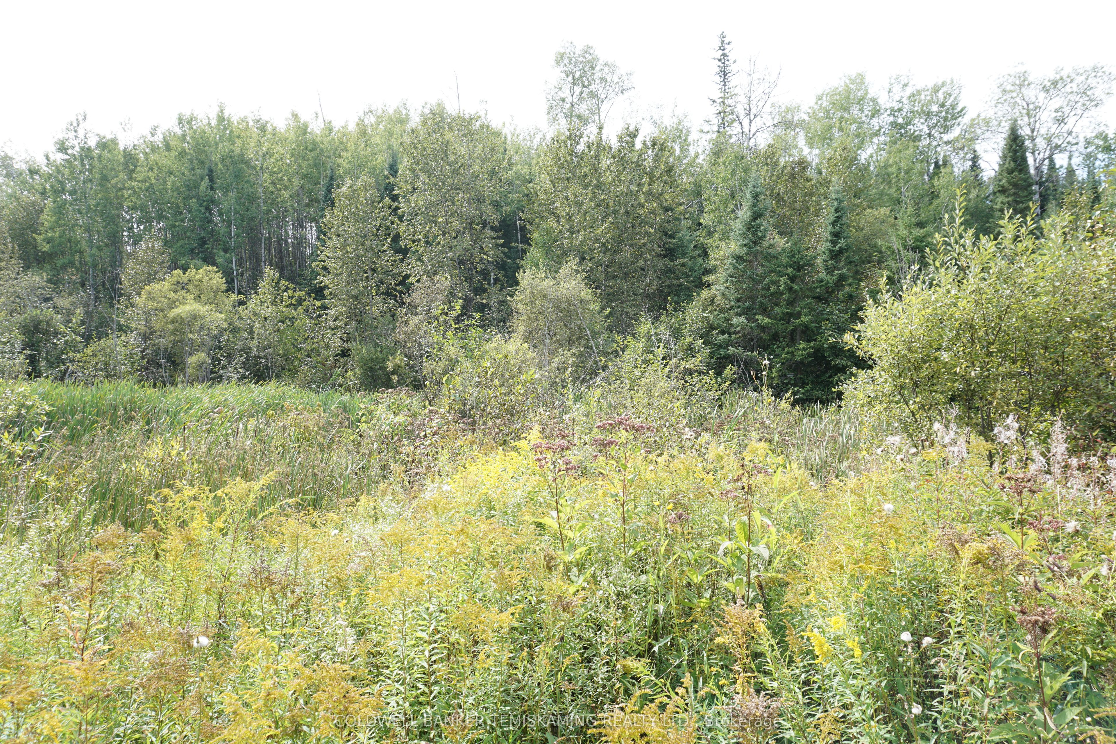 Lot 1 Campbell's Road Property Photo 25