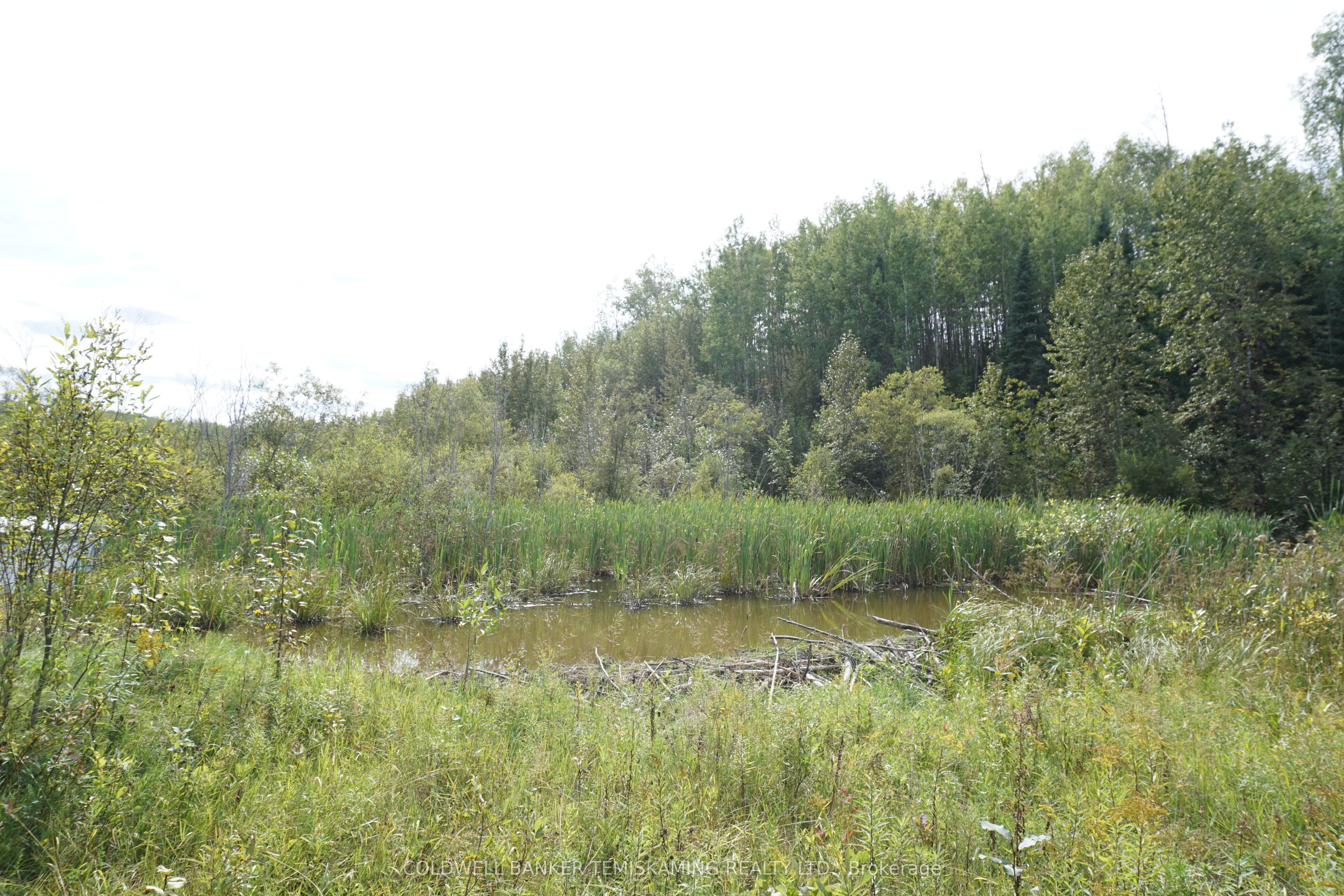 Lot 1 Campbell's Road Property Photo 27