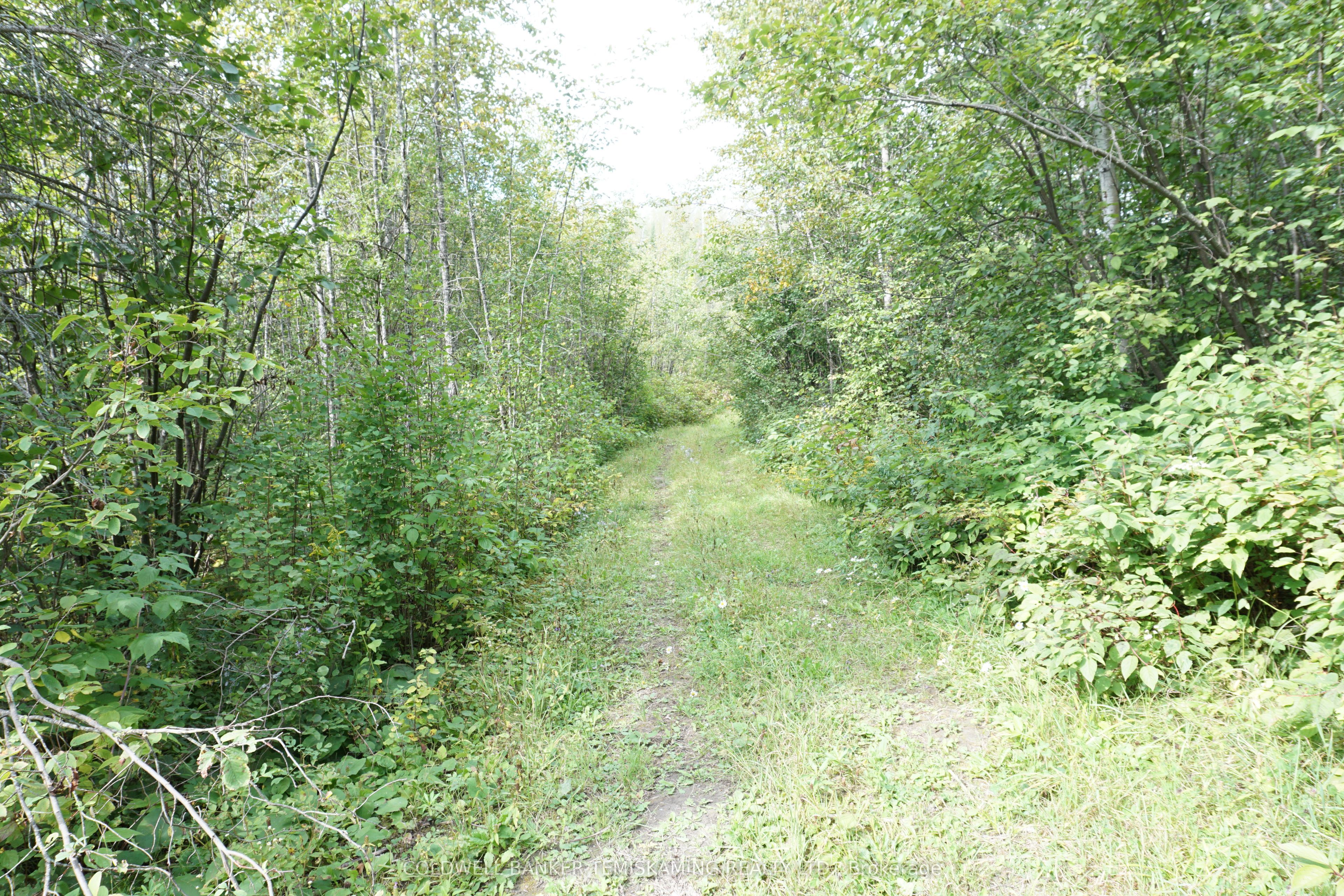 Lot 1 Campbell's Road Property Photo 28
