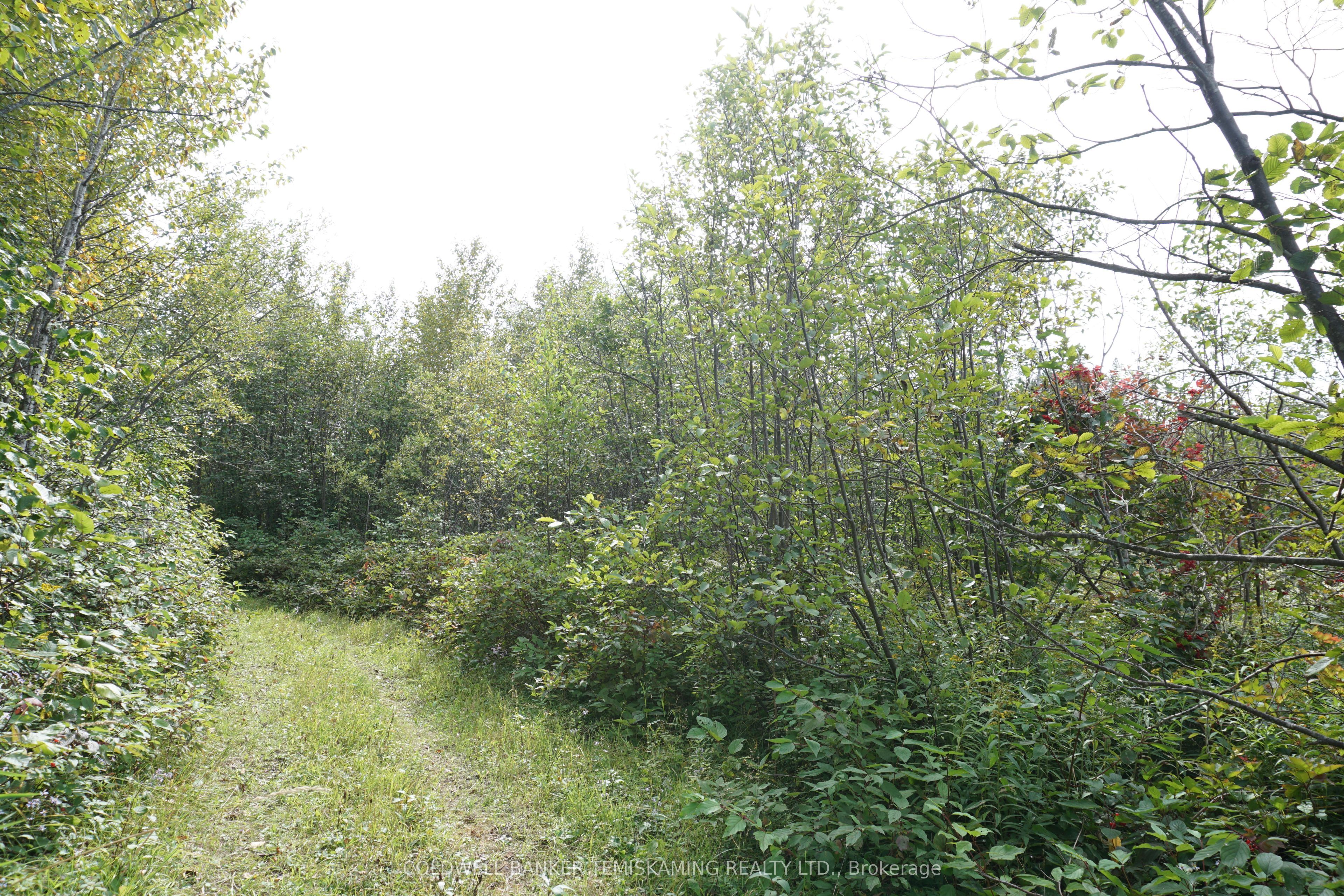Lot 1 Campbell's Road Property Photo 29