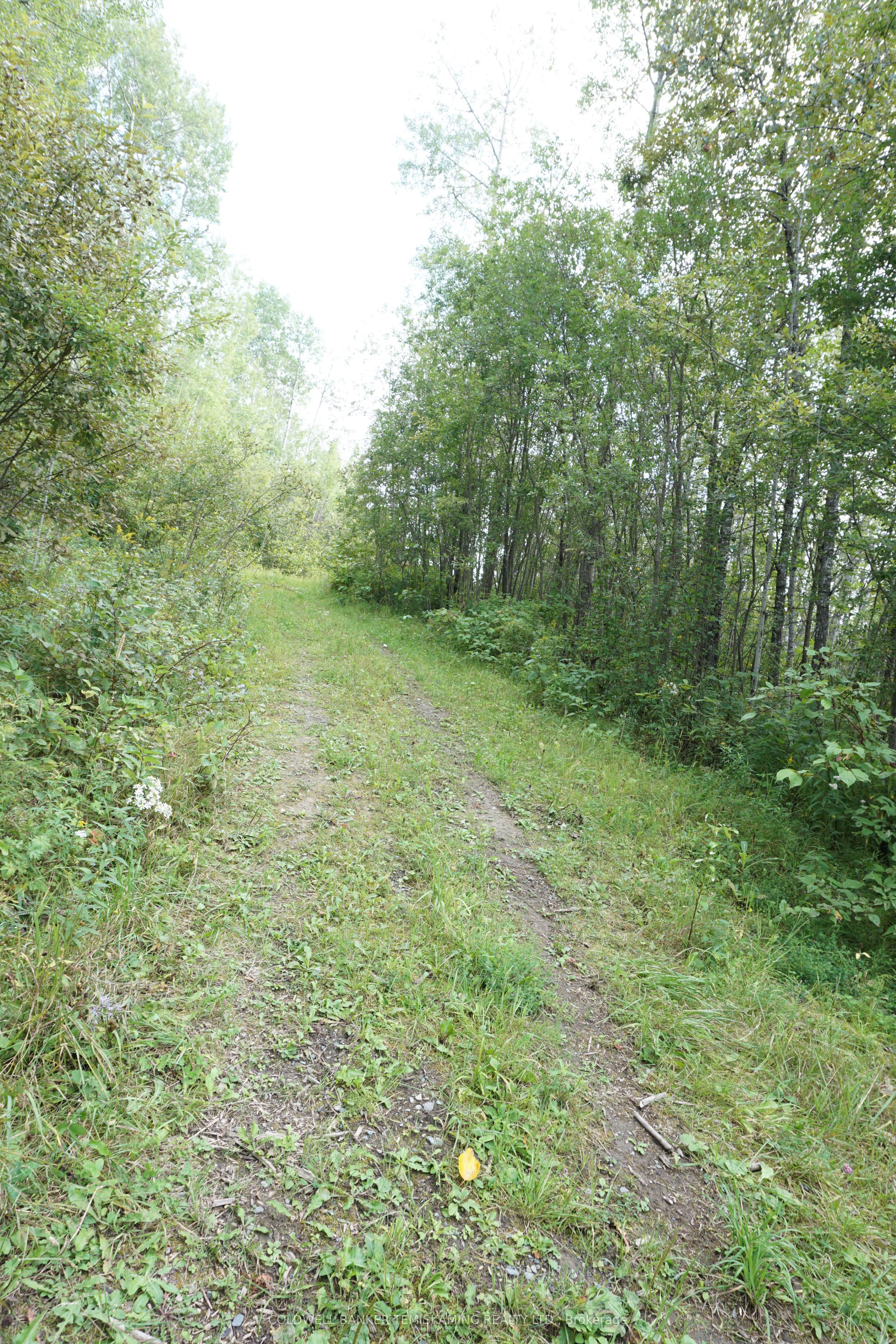 Lot 1 Campbell's Road Property Photo 30