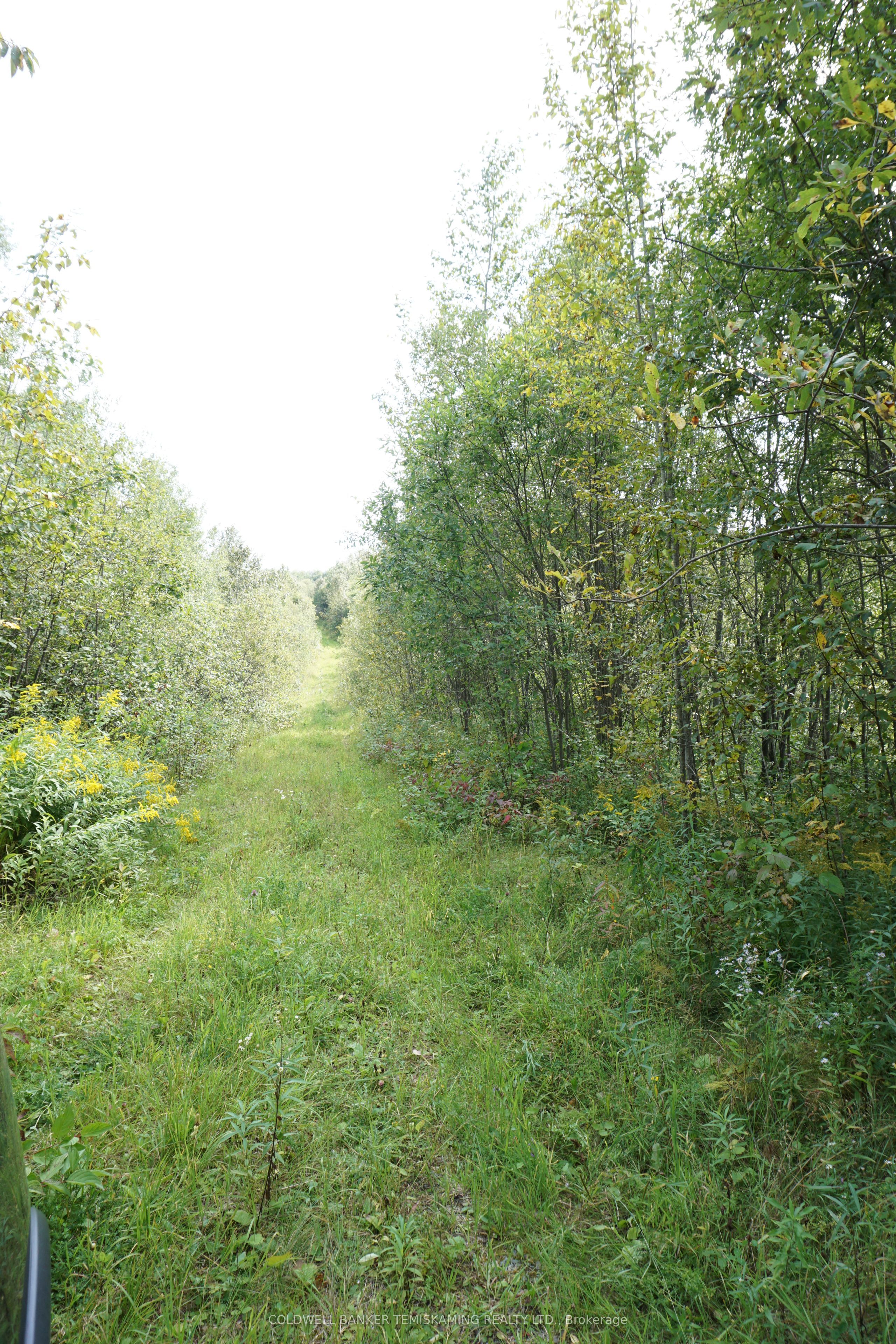 Lot 1 Campbell's Road Property Photo 31