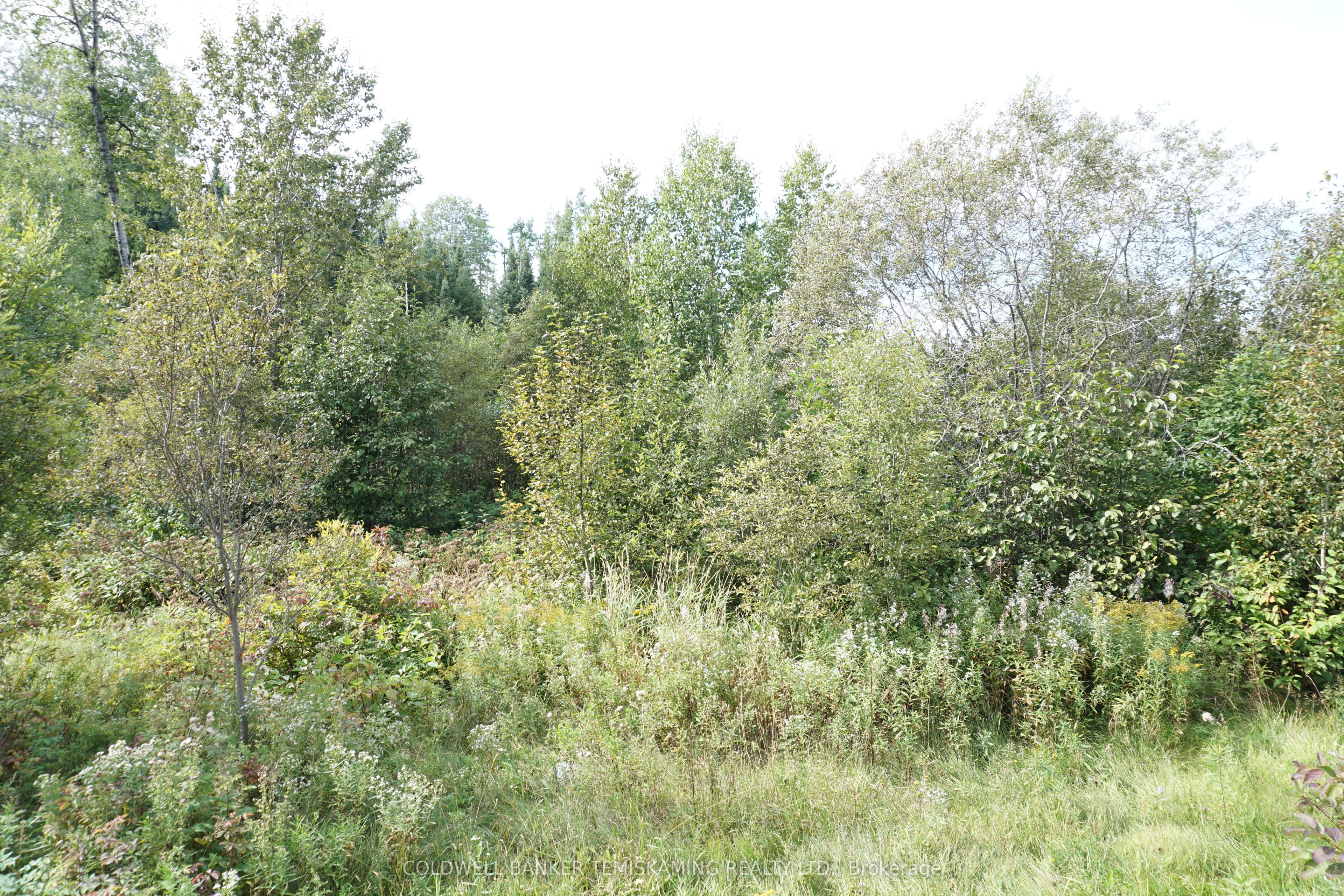 Lot 1 Campbell's Road Property Photo 32