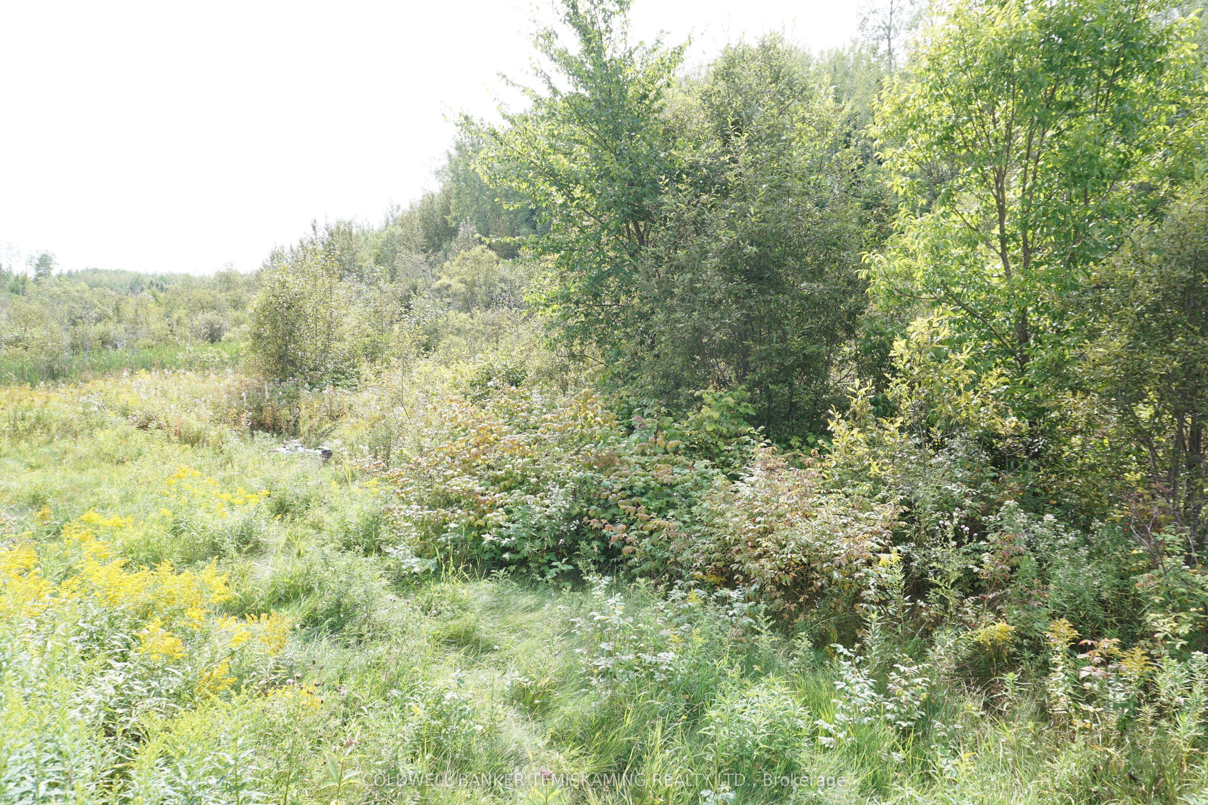 Lot 1 Campbell's Road Property Photo 33