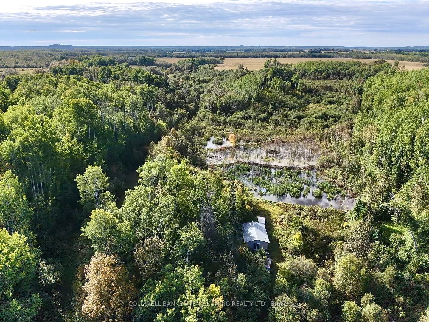 Lot 1 Campbell's Road Property Photo 43