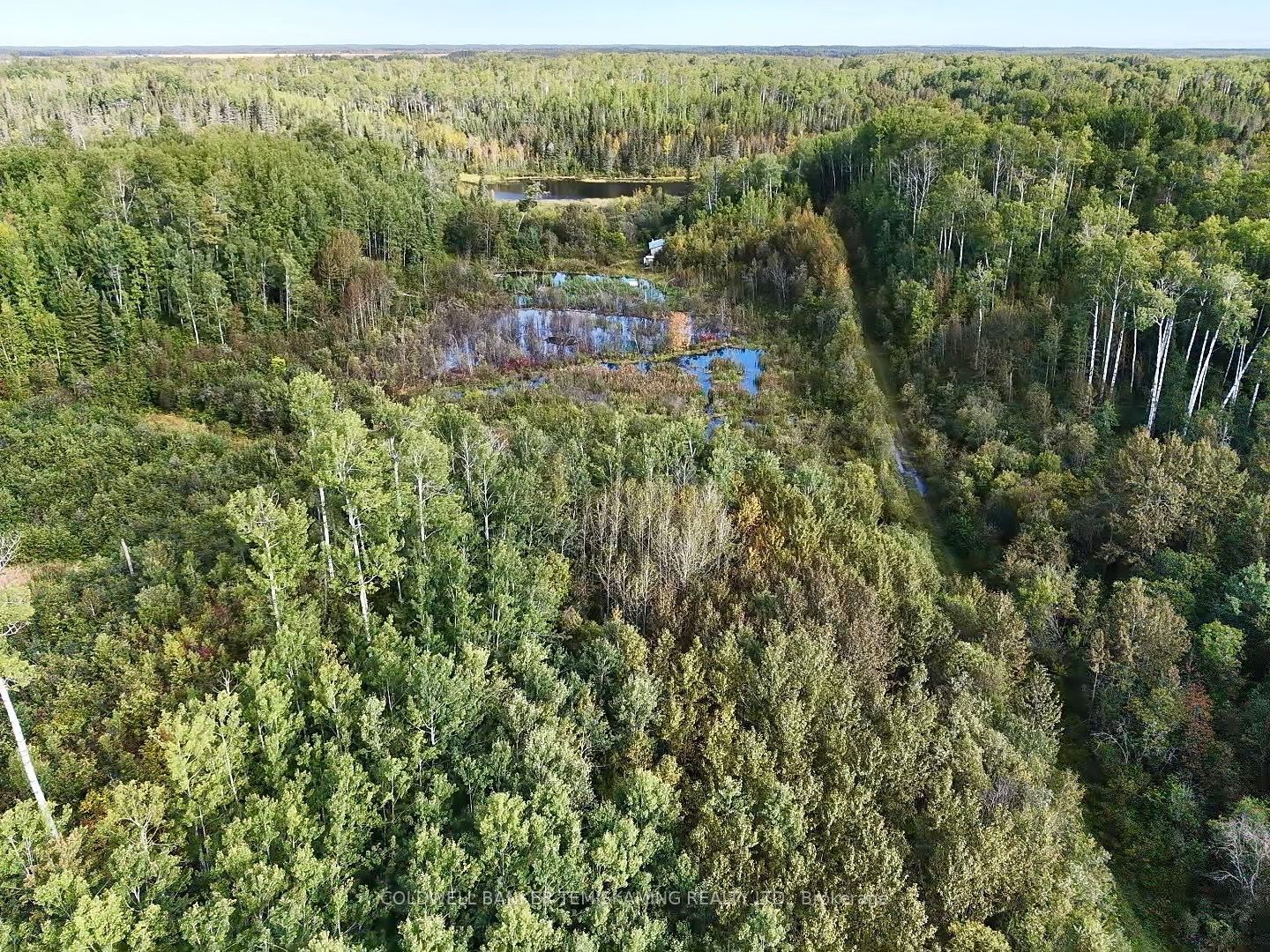 Lot 1 Campbell's Road Property Photo 47