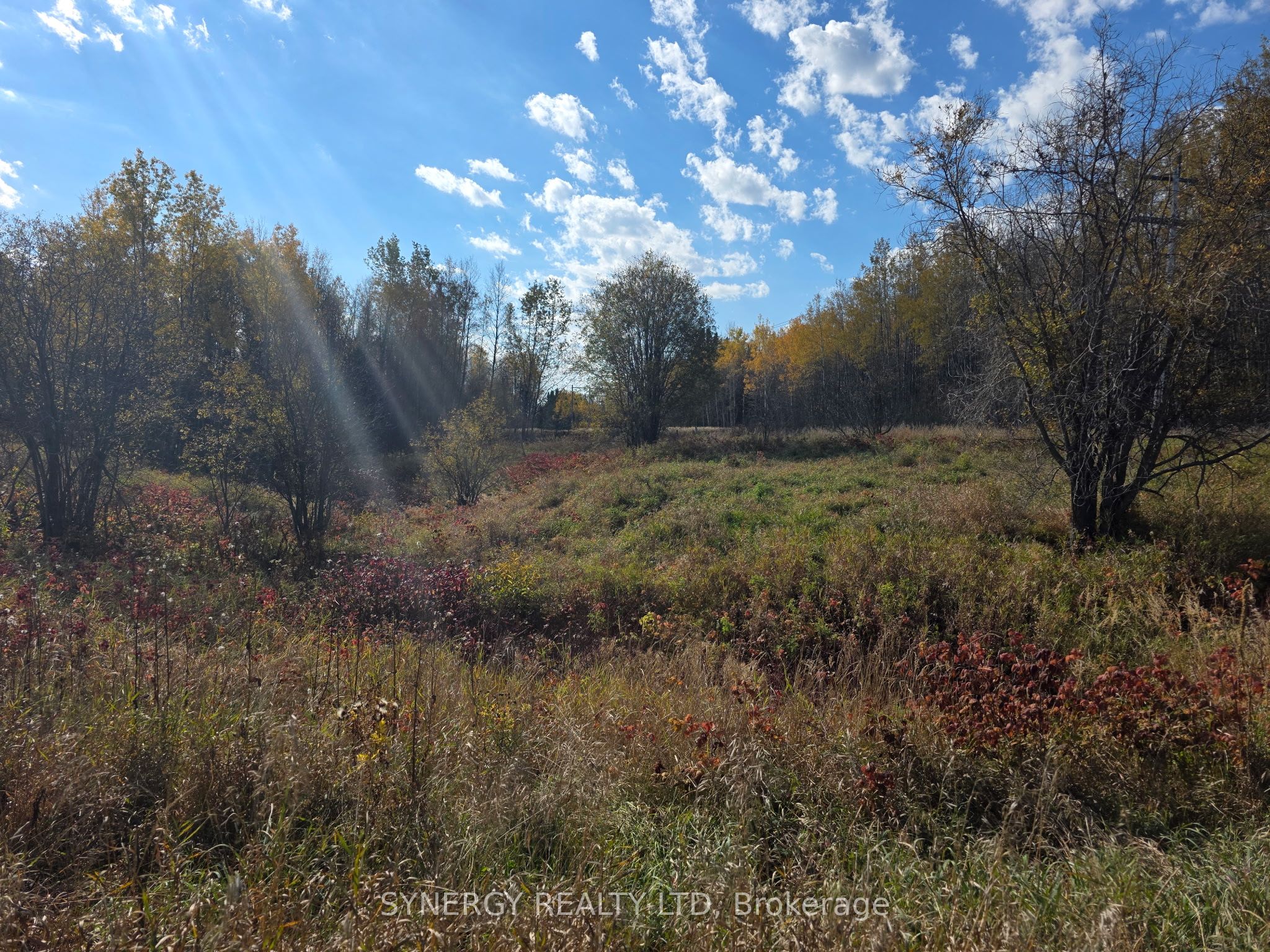 Con 6 N Pt Lot 12 Road Property Photo 1