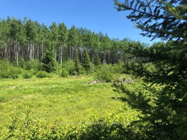 38.24 Acres In Ogden Township Pcl 24640 Property Photo 1