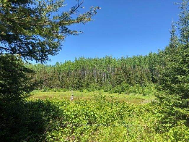 38.24 Acres In Ogden Township Pcl 24640 Property Photo 2