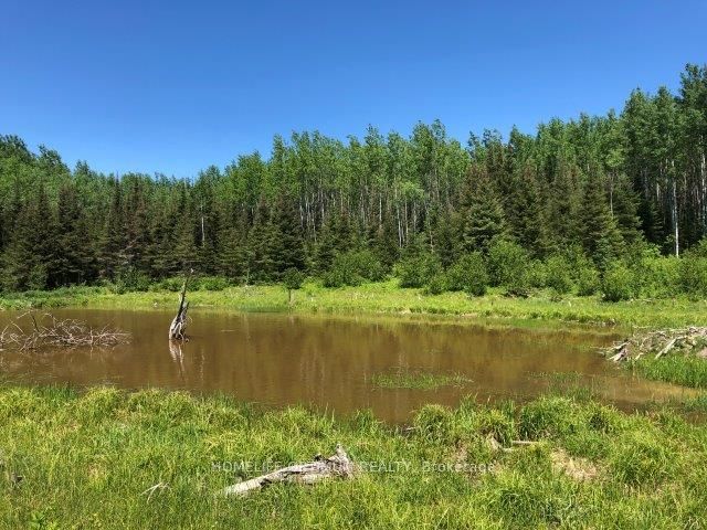 38.24 Acres In Ogden Township Pcl 24640 Property Photo 3