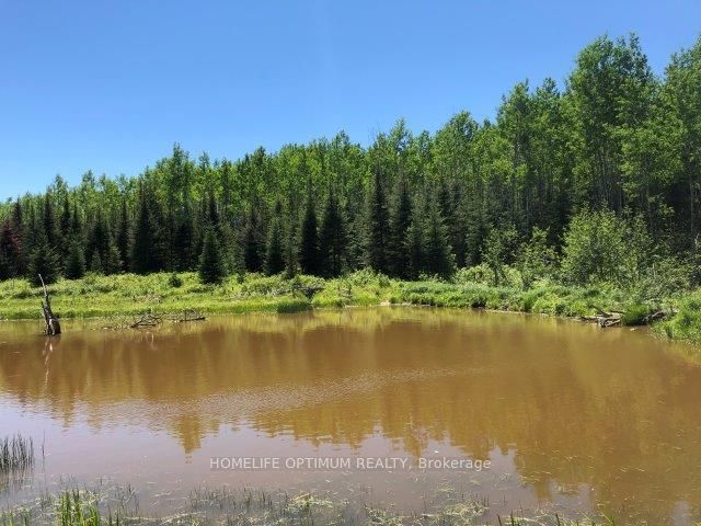 38.24 Acres In Ogden Township Pcl 24640 Property Photo 4