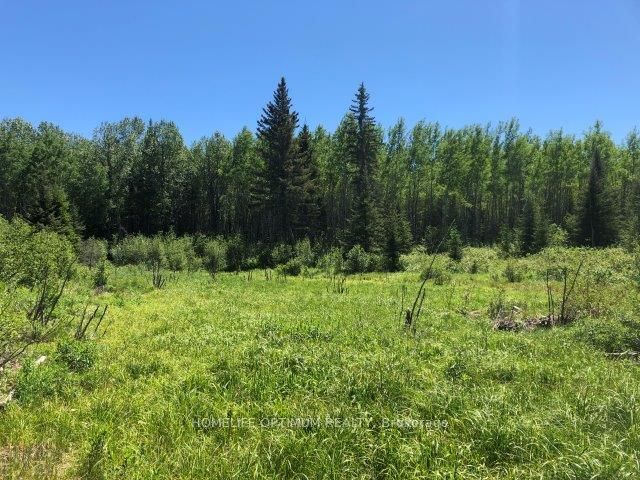 38.24 Acres In Ogden Township Pcl 24640 Property Photo 5
