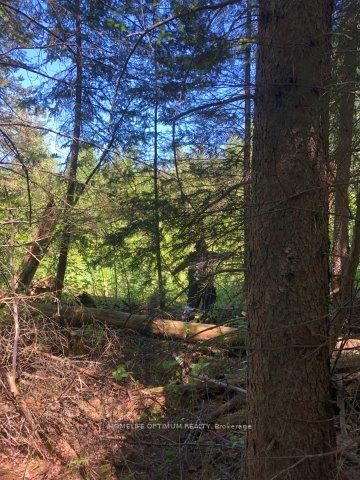 38.24 Acres In Ogden Township Pcl 24640 Property Photo 7