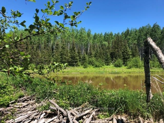 38.24 Acres In Ogden Township Pcl 24640 Property Photo 8