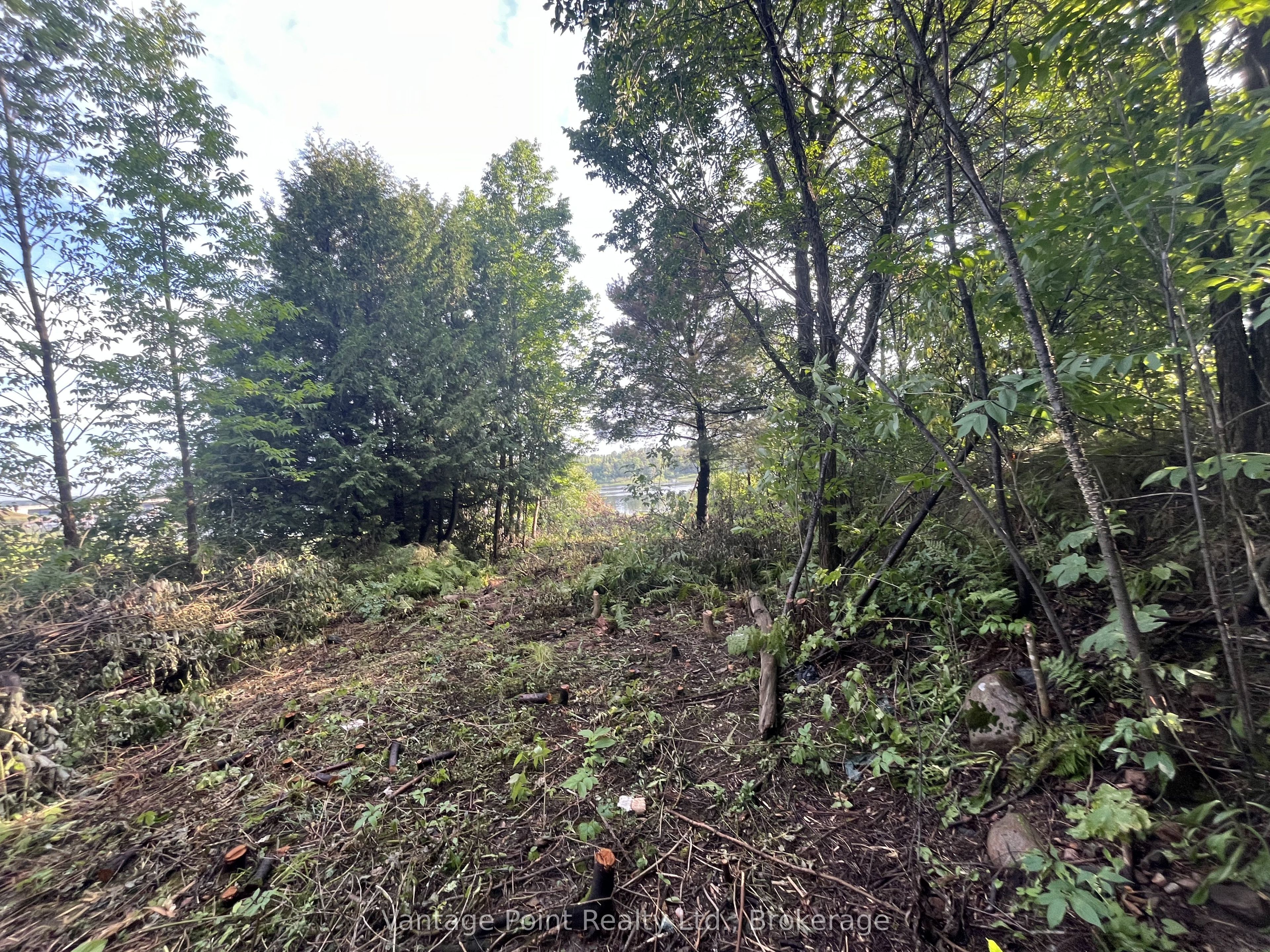 33 Third Street E Property Photo 5