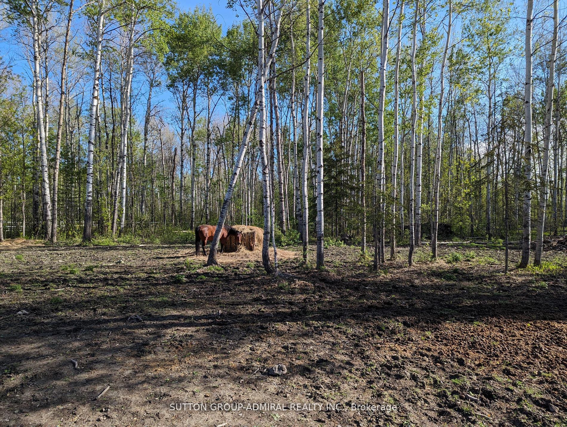 227005 Brentha Road Property Photo 7
