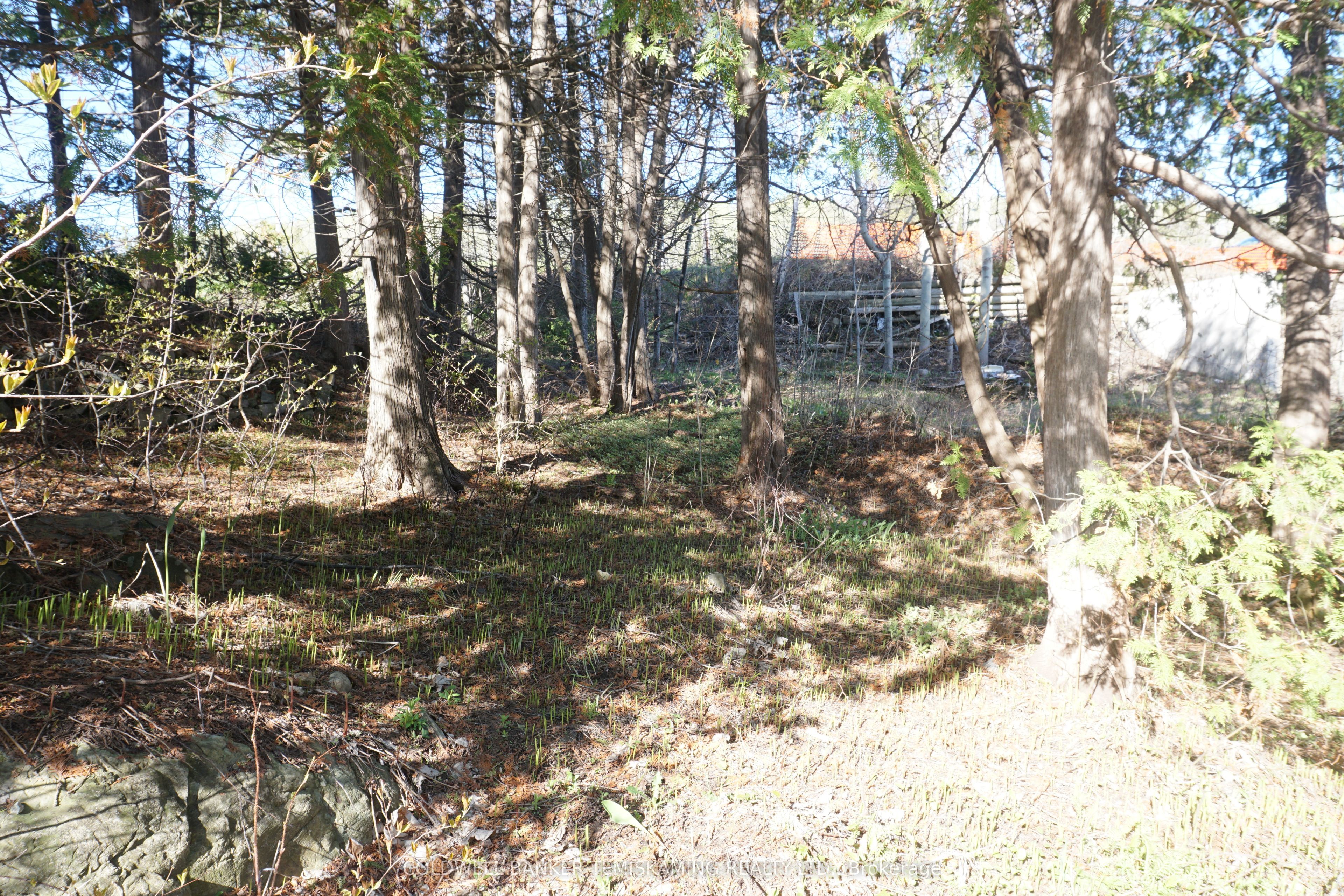 1467 Lakeshore Road S Property Photo 15