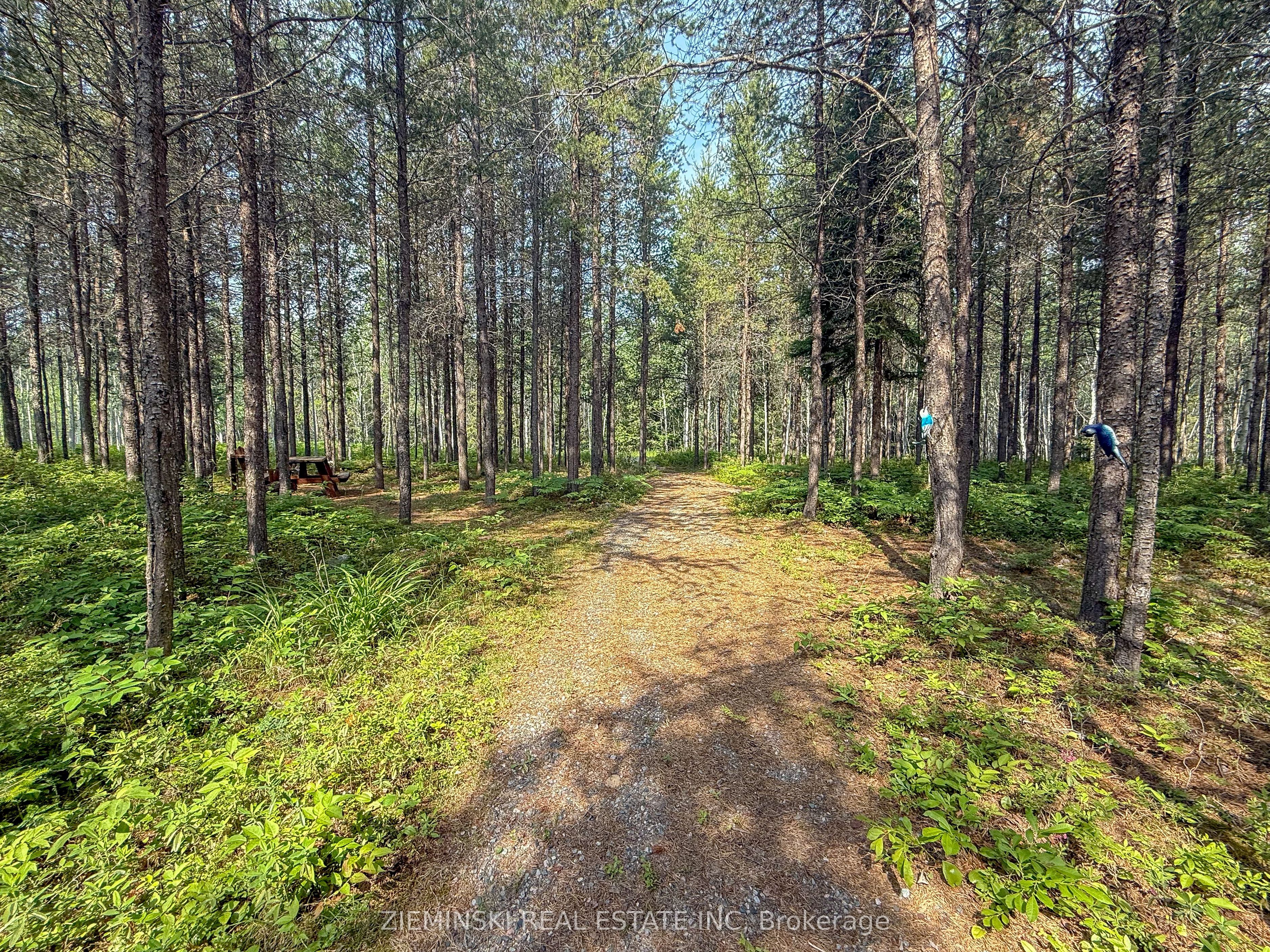 4963 Highway 11 Highway S Property Photo 6