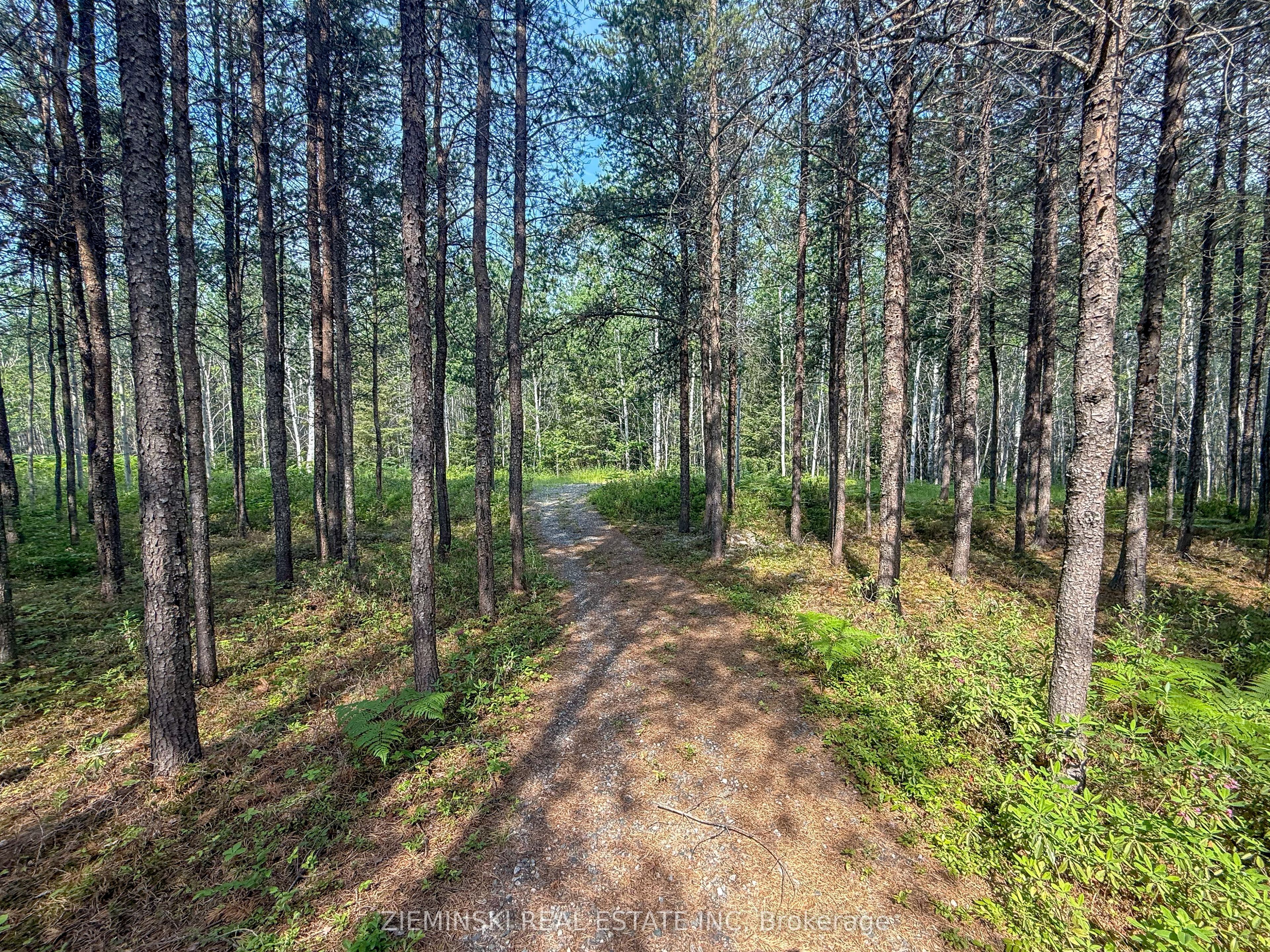 4963 Highway 11 Highway S Property Photo 9