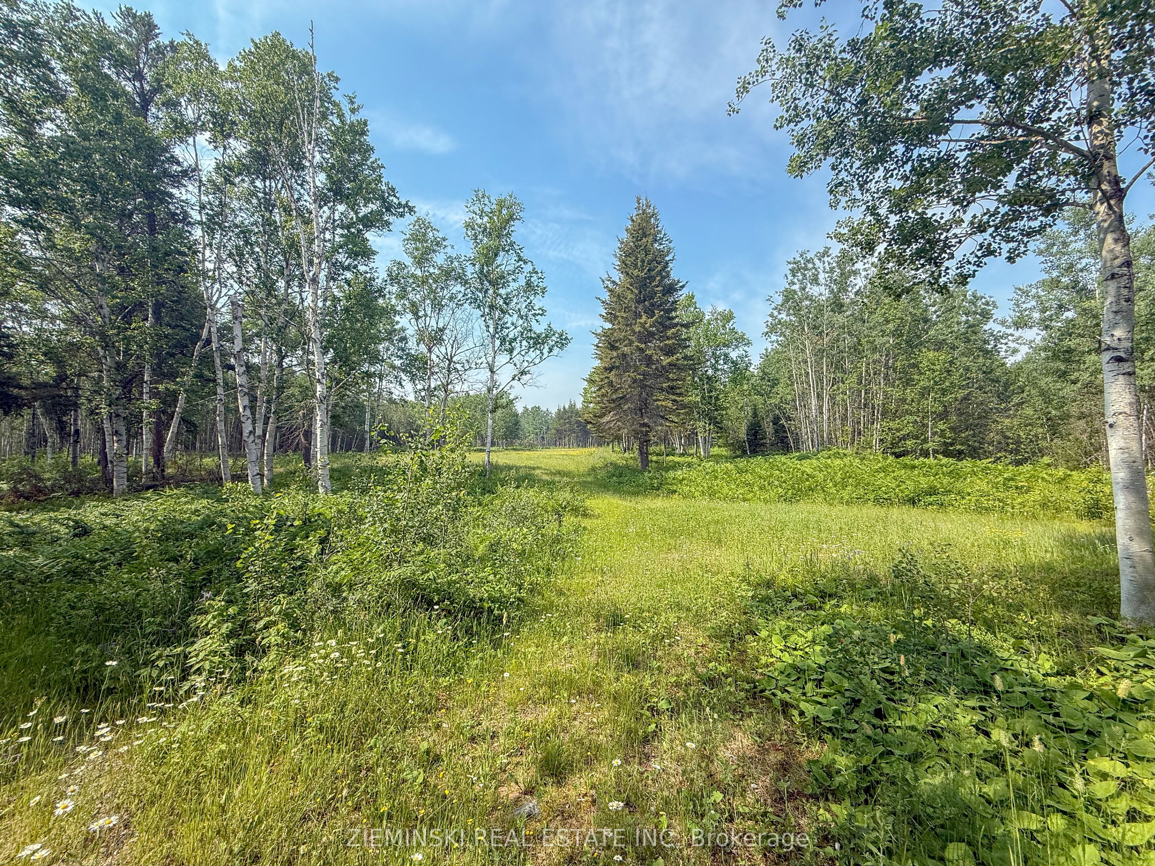 4963 Highway 11 Highway S Property Photo 10