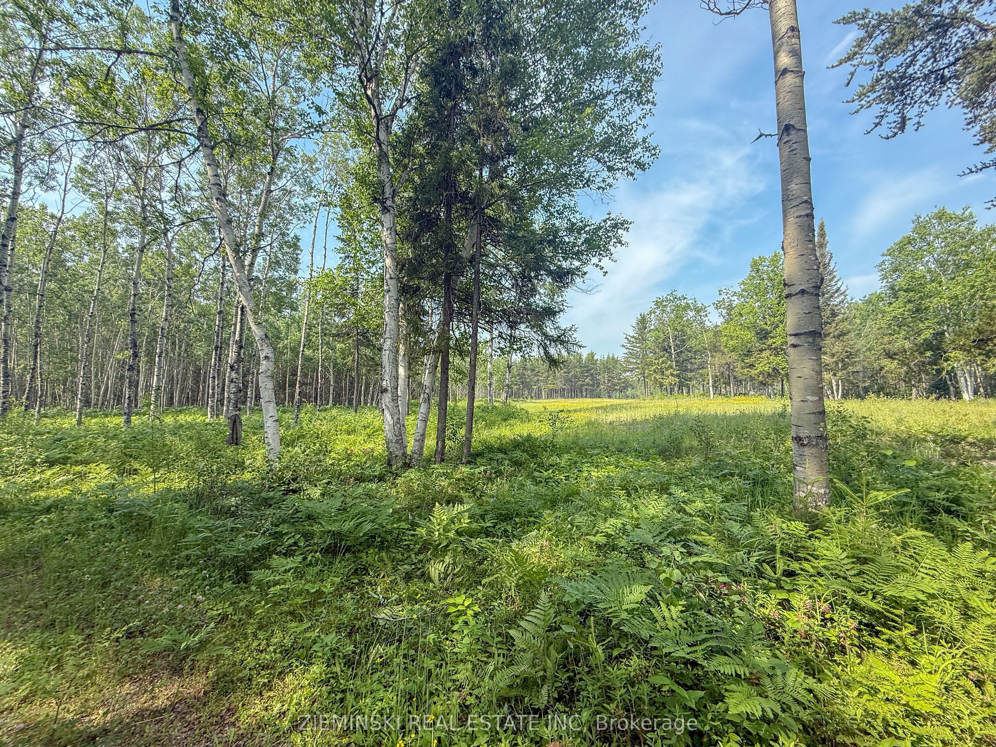 4963 Highway 11 Highway S Property Photo 11