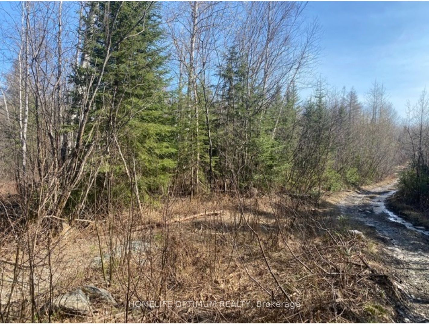 Pcl 10742 Mcgarry Property Photo 3