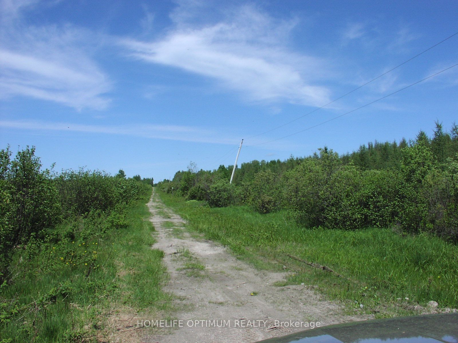 Parcel 4217 Williamson Township Property Photo 1
