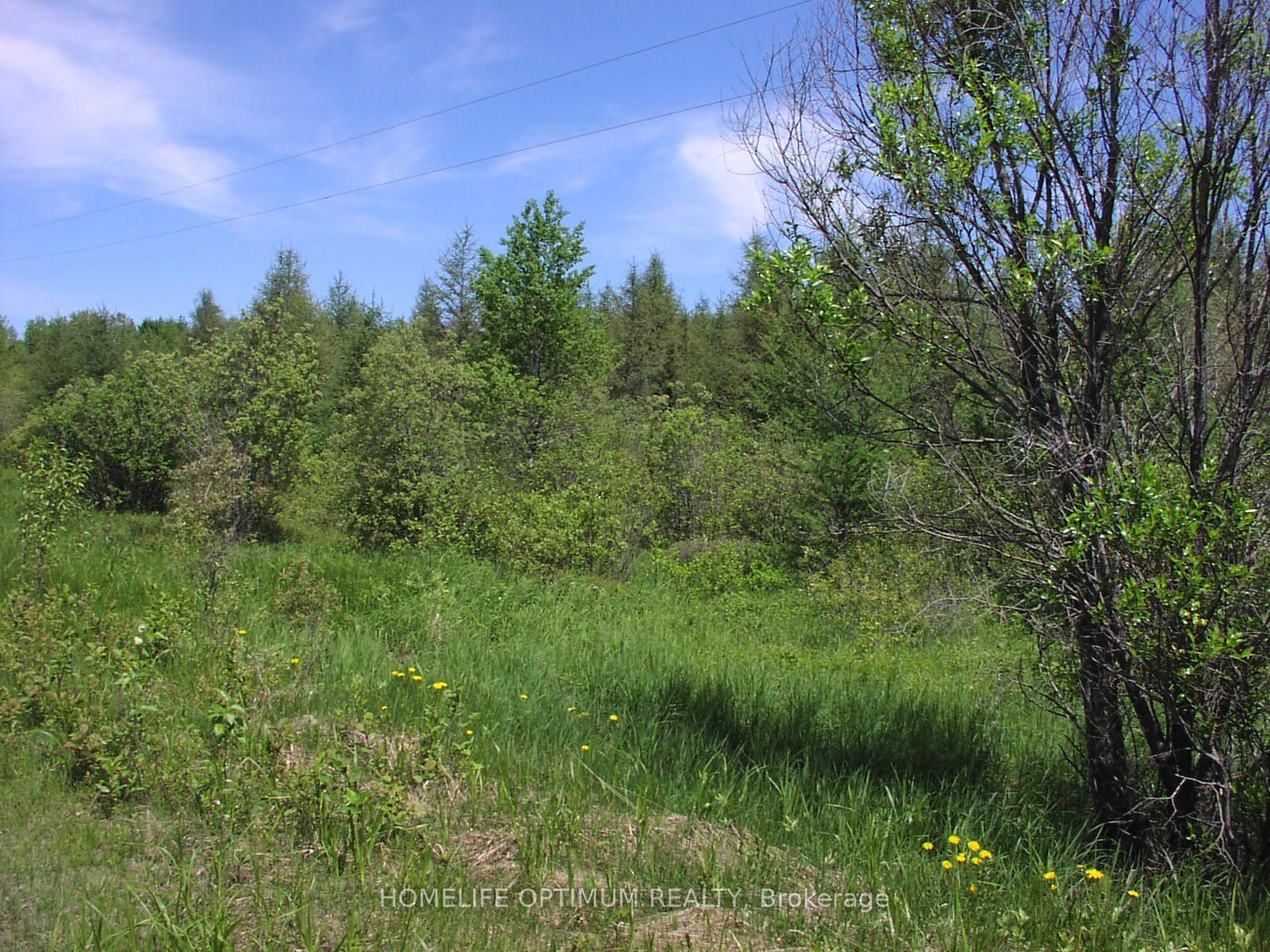 Parcel 4217 Williamson Township Property Photo 2