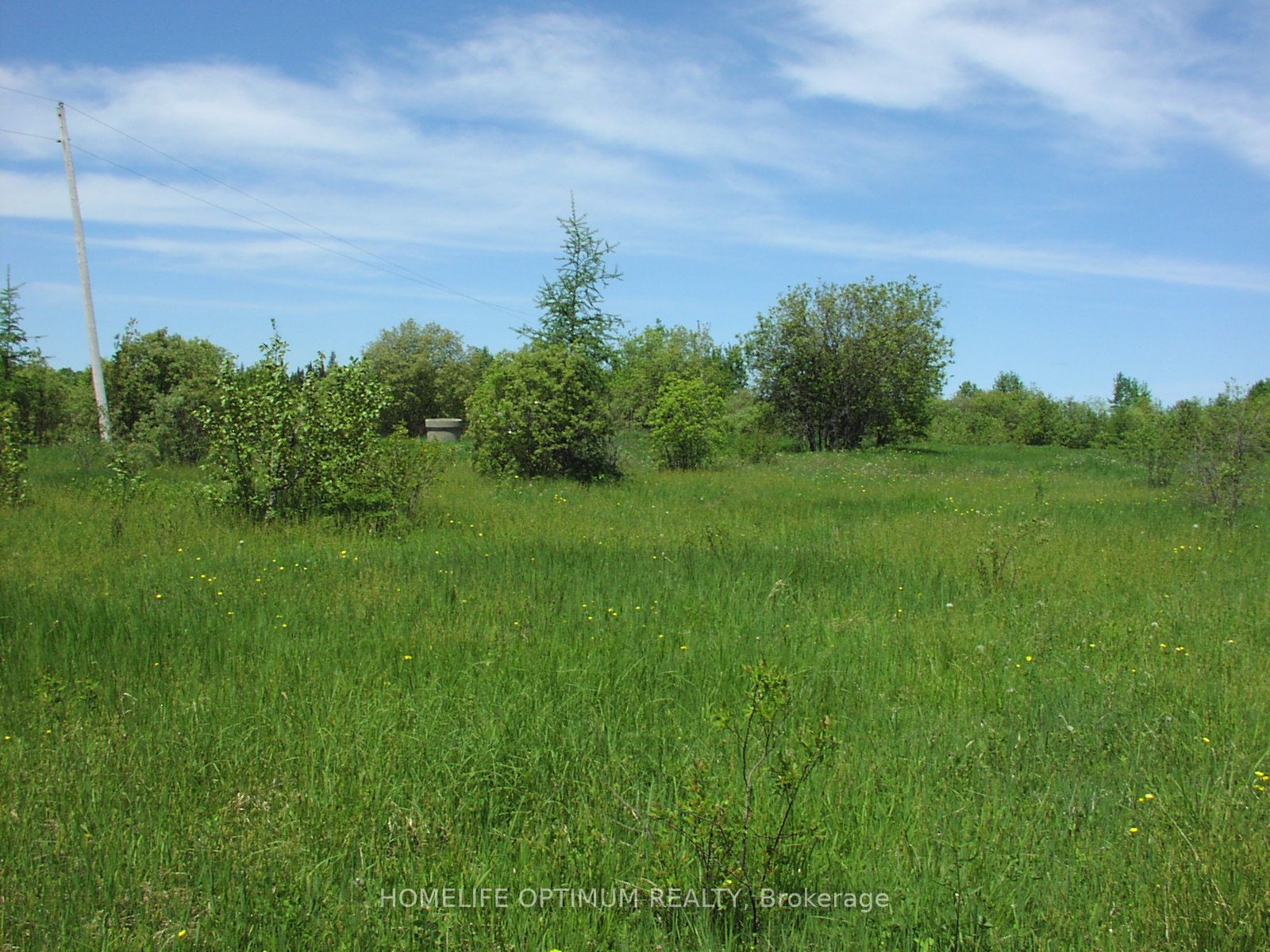 Parcel 4217 Williamson Township Property Photo 7