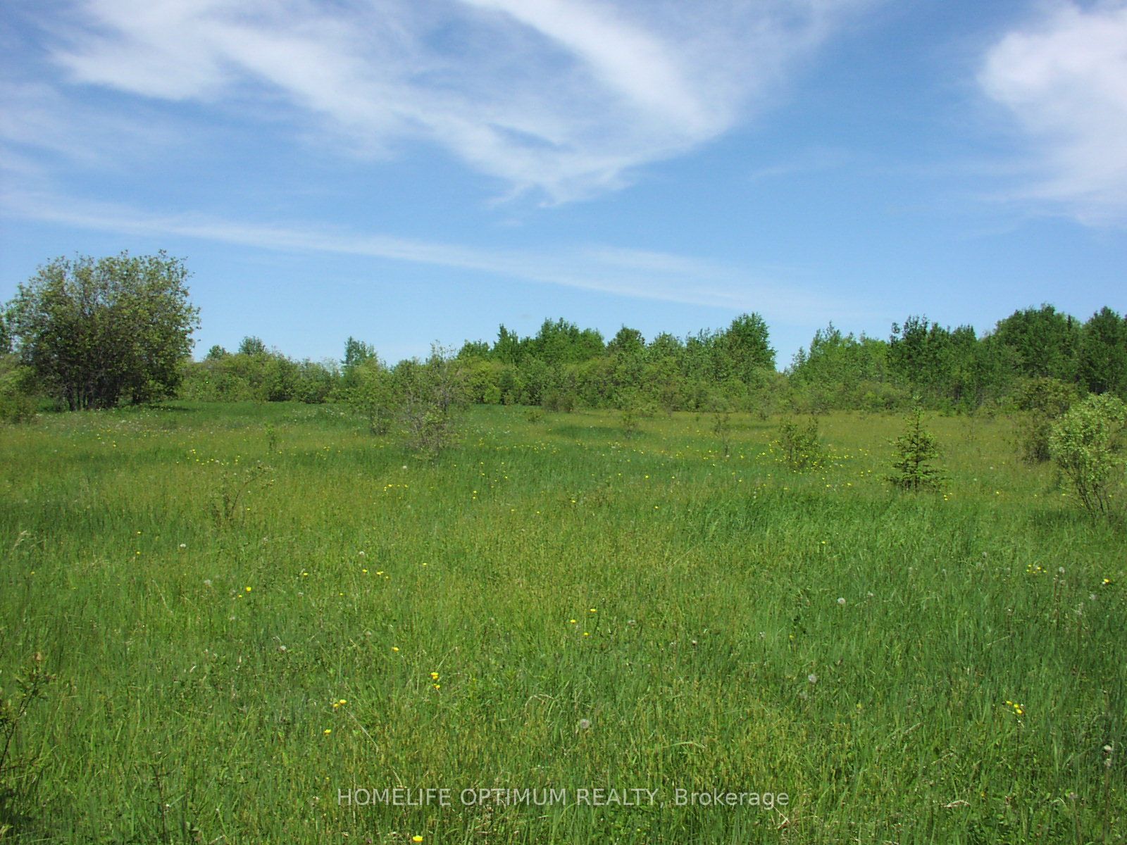 Parcel 4217 Williamson Township Property Photo 8