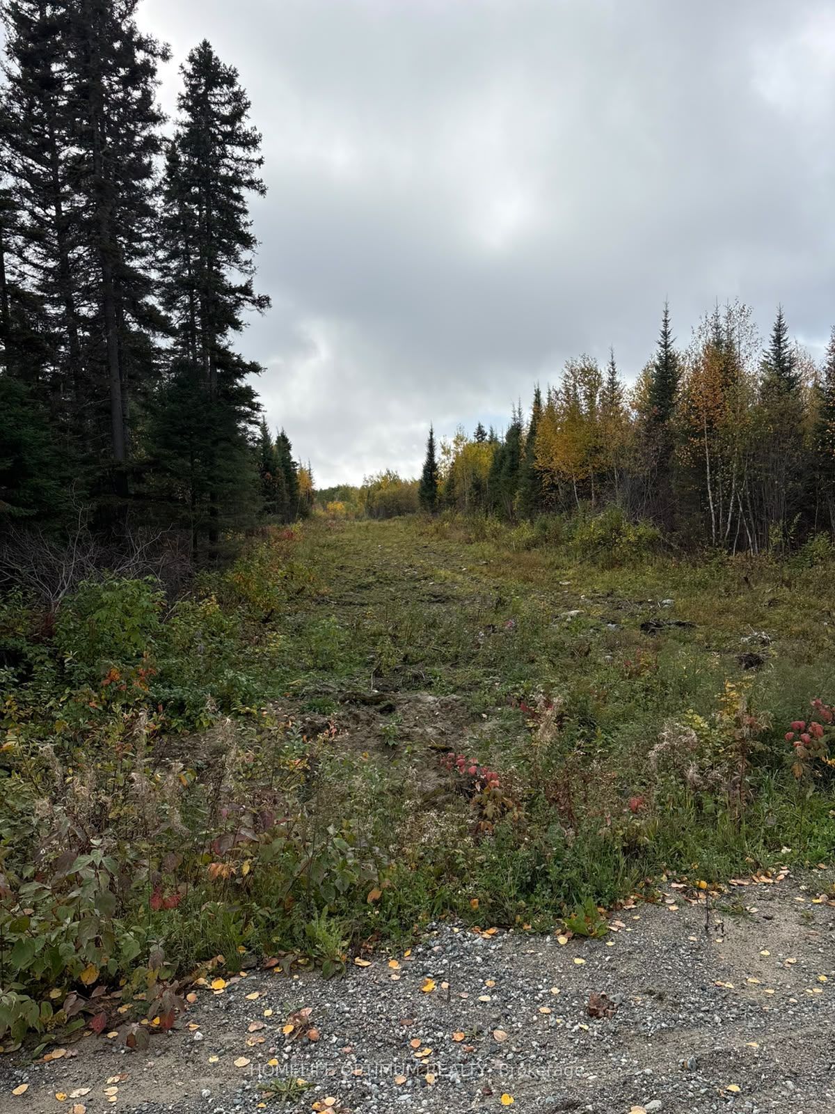 Pcl 3898 Bristol Township Mining Claim P. 8531 Property Photo 7