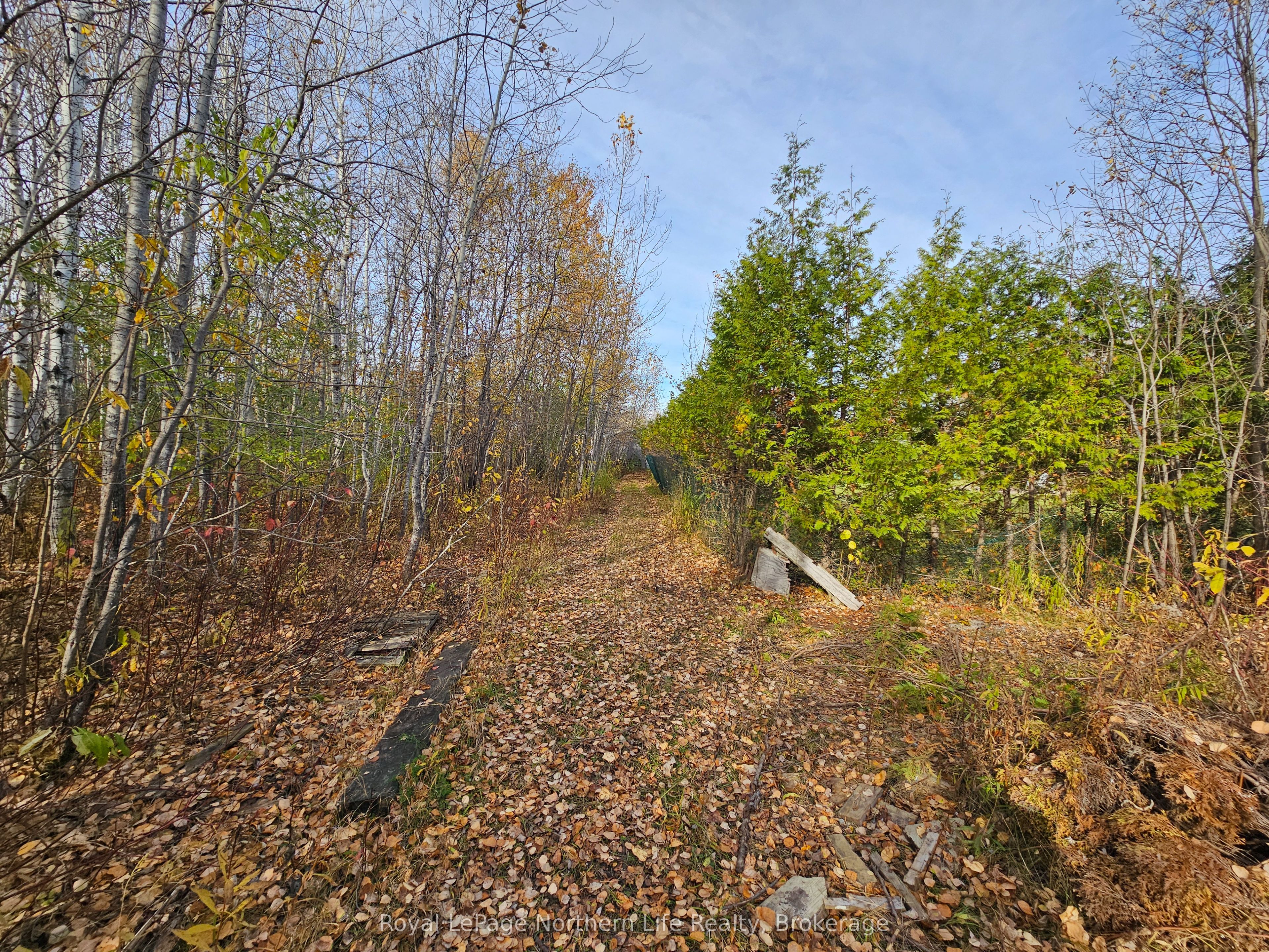 472 Albert Street Property Photo 15