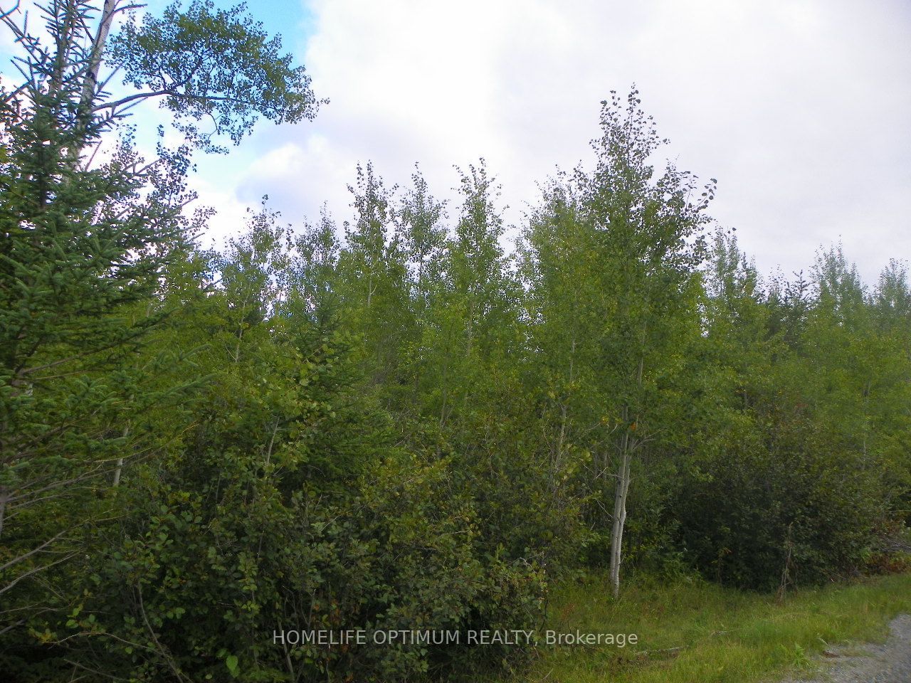Pt 1 6r8933 Playfair Twp Blue Jay Road Property Photo 1