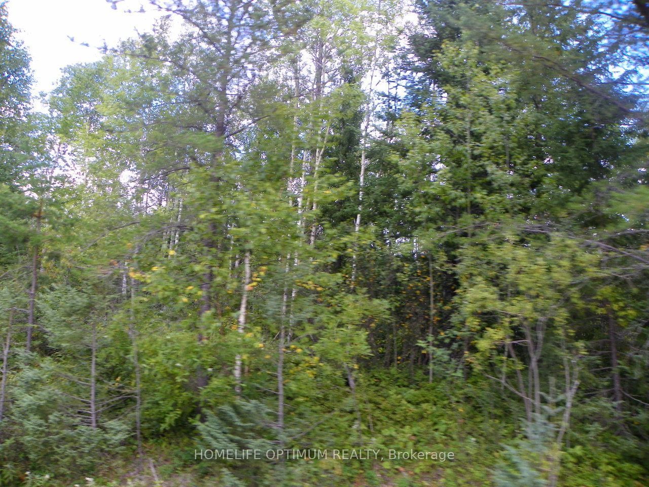 Pt 1 6r8933 Playfair Twp Blue Jay Road Property Photo 2