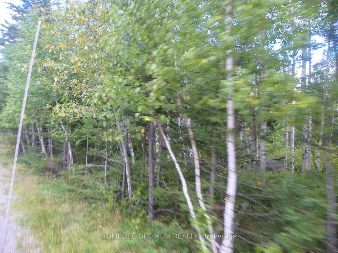 Pt 1 6r8933 Playfair Twp Blue Jay Road Property Photo 4