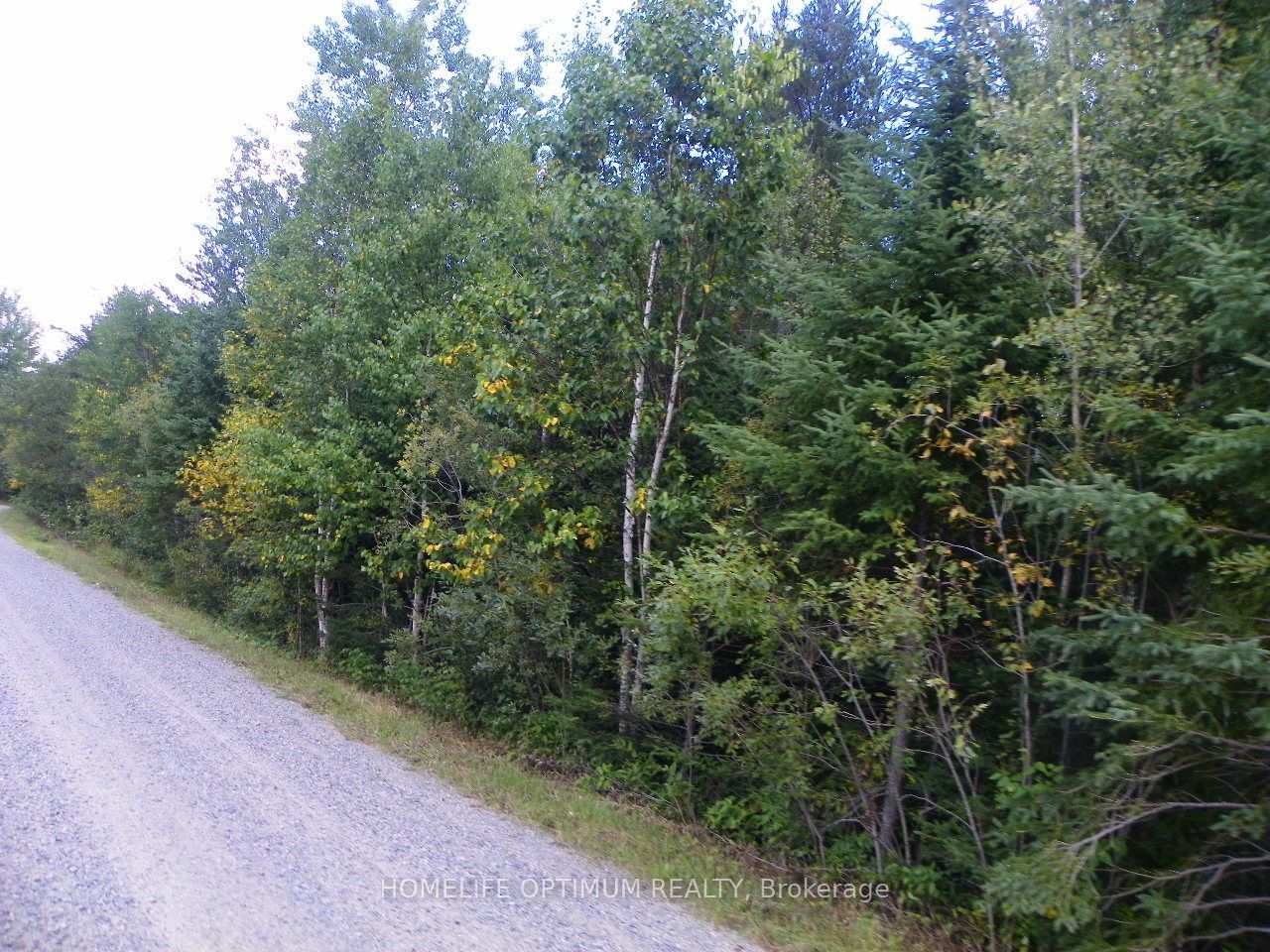 Pt 1 6r8933 Playfair Twp Blue Jay Road Property Photo 5