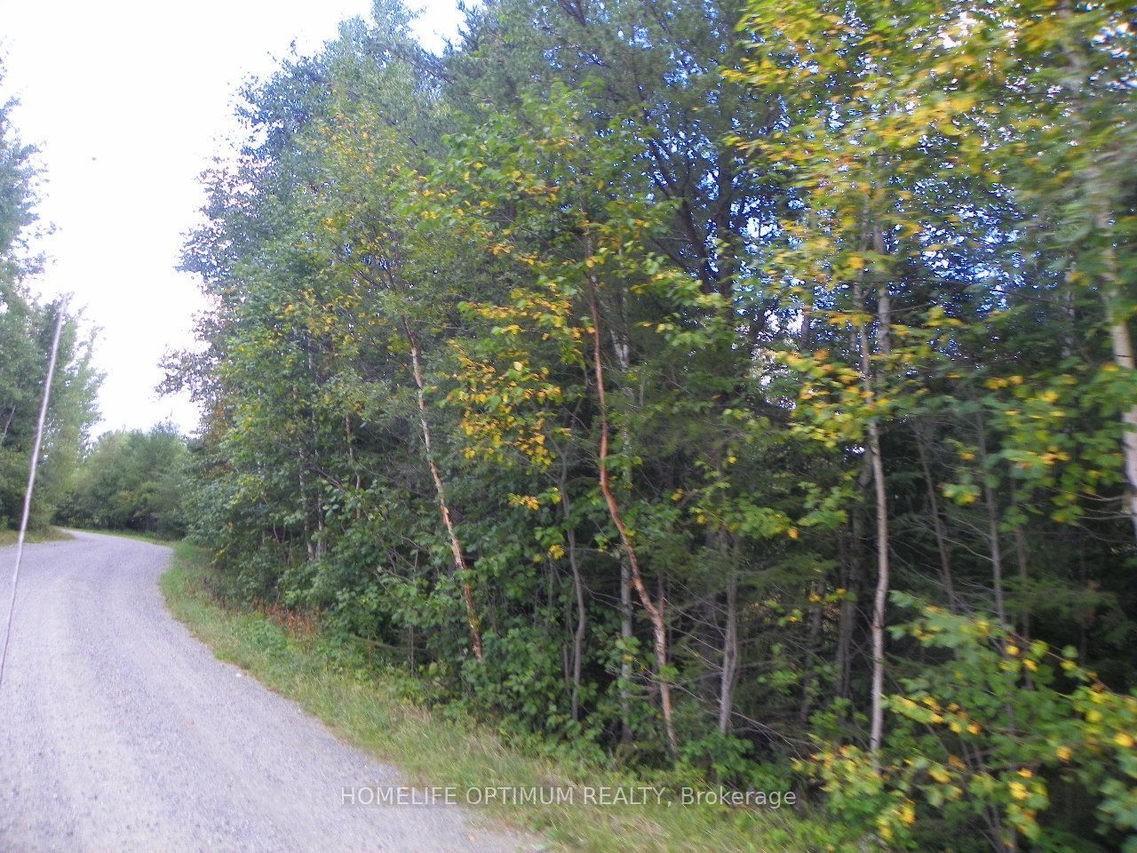 Pt 1 6r8933 Playfair Twp Blue Jay Road Property Photo 6