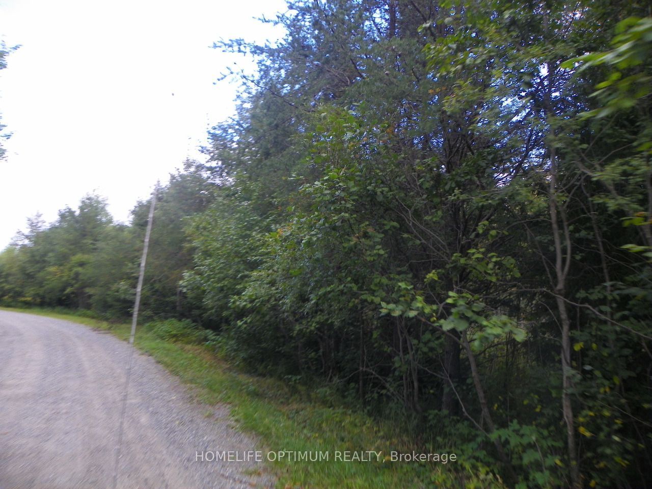 Pt 1 6r8933 Playfair Twp Blue Jay Road Property Photo 7