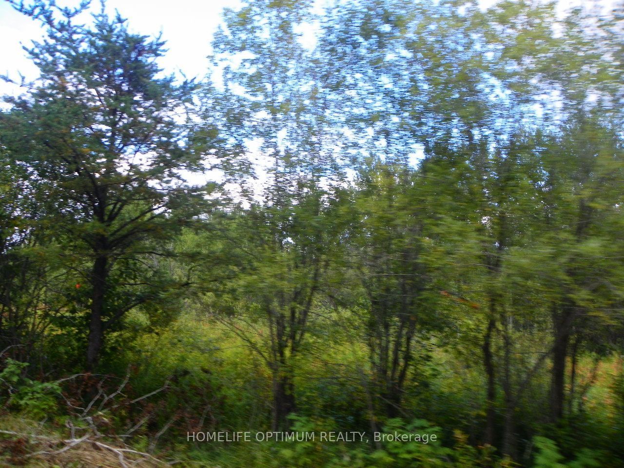 Pt 1 6r8933 Playfair Twp Blue Jay Road Property Photo 8