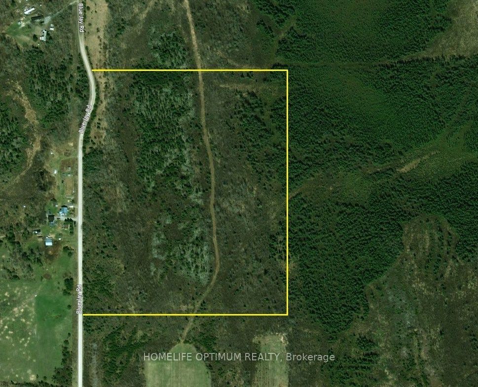 Pt 1 6r8933 Playfair Twp Blue Jay Road Property Photo 14