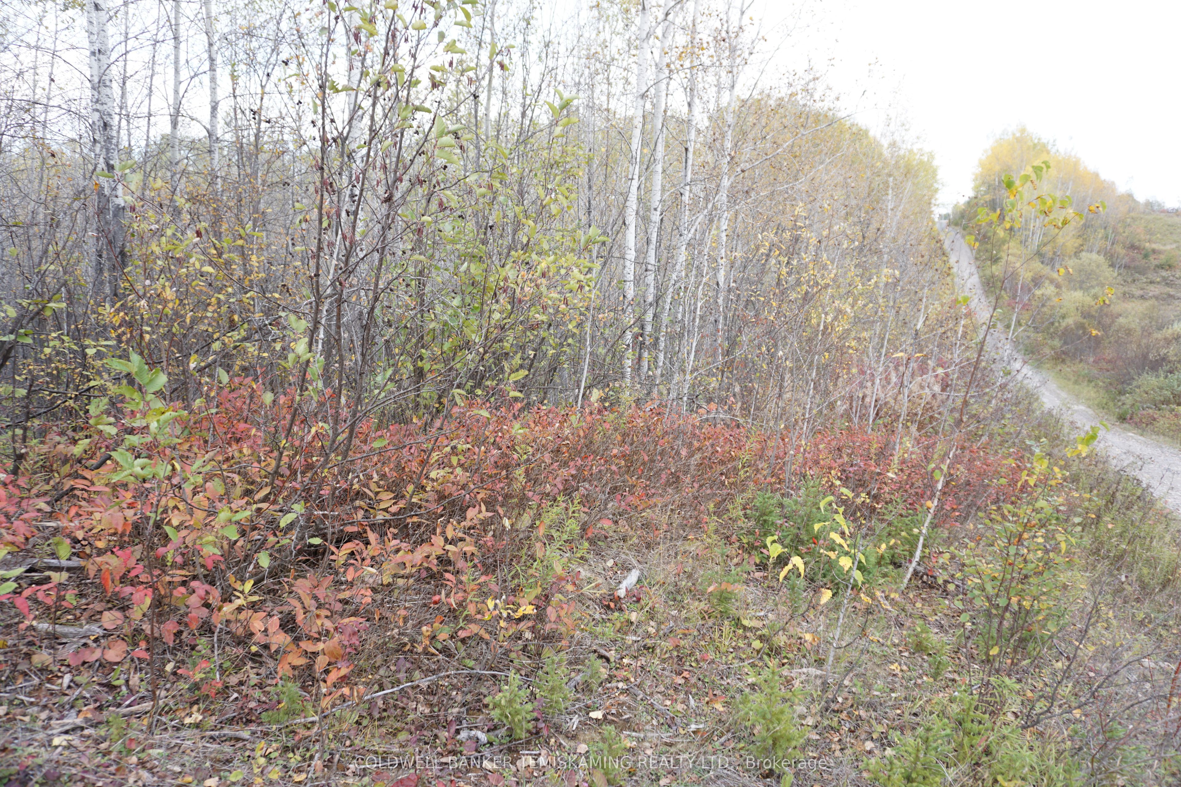 Lot 1a Campbells Road Property Photo