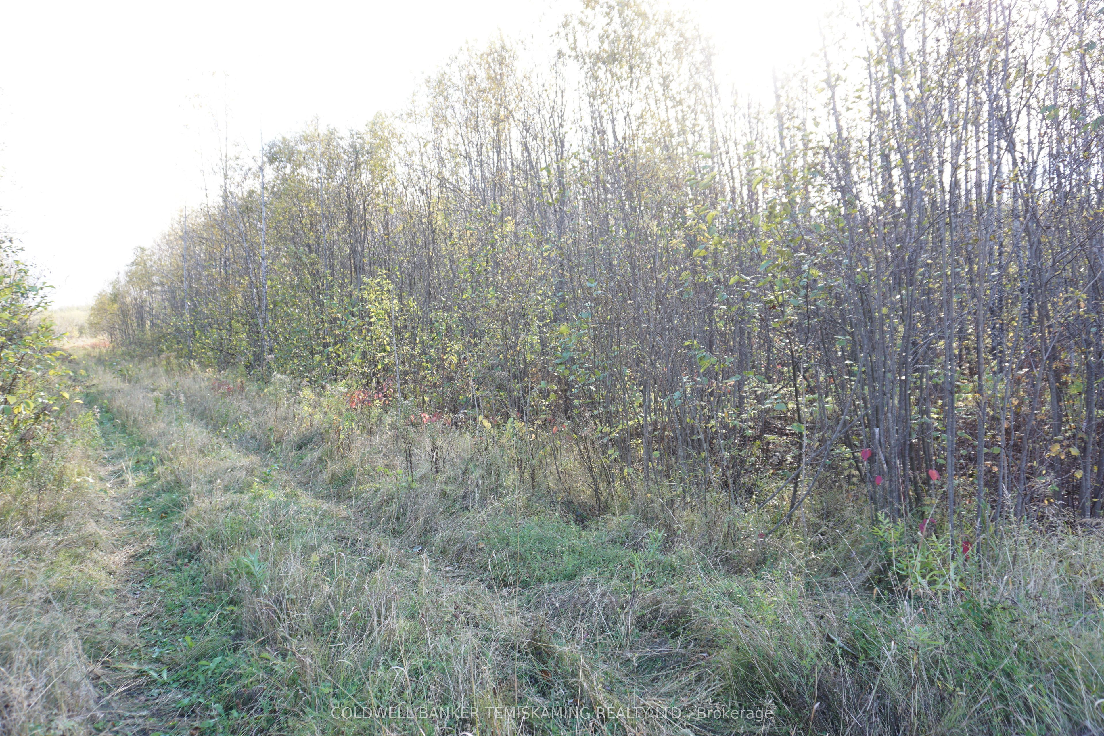 Lot 1a Campbells Road Property Photo 2