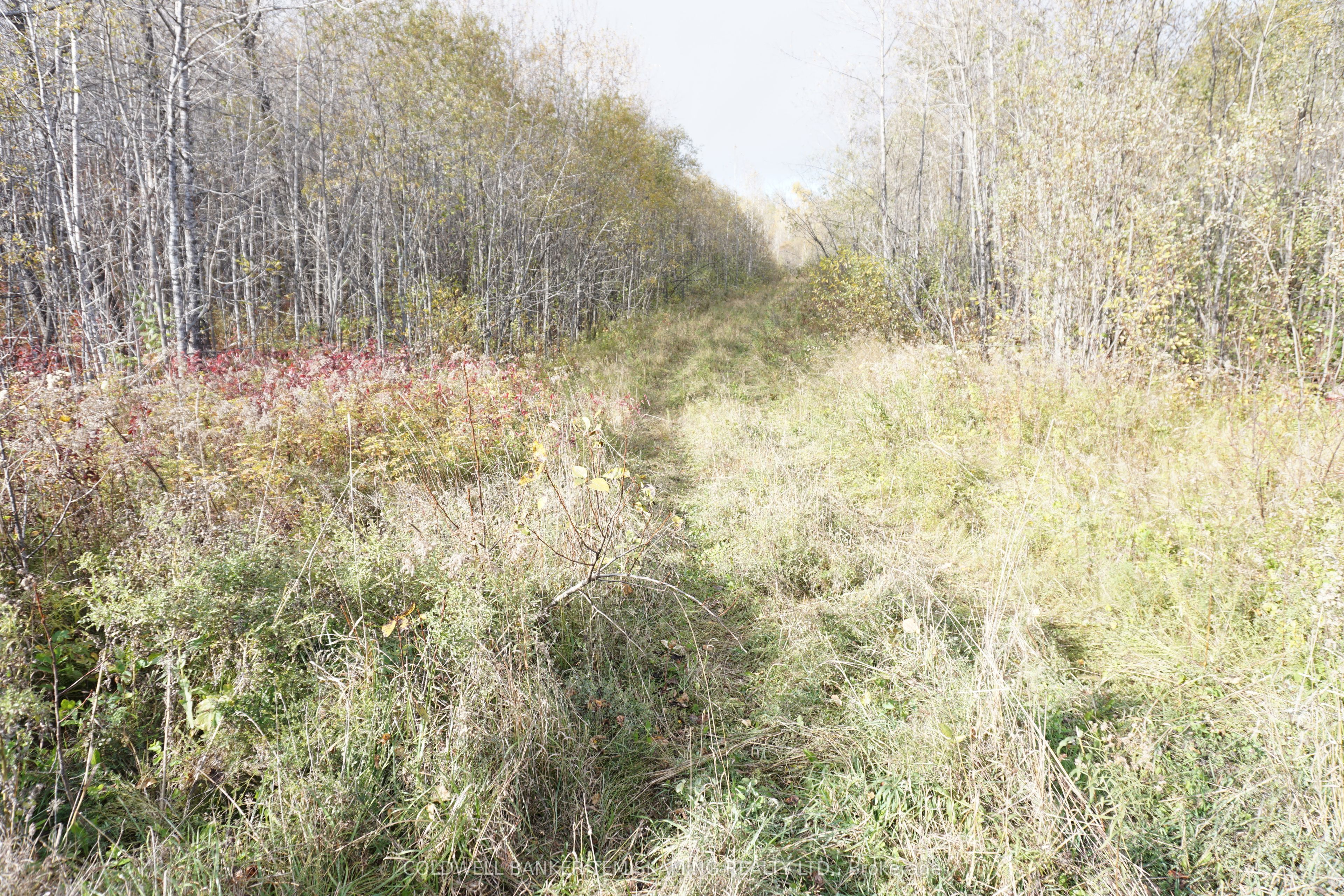 Lot 1a Campbells Road Property Photo 4