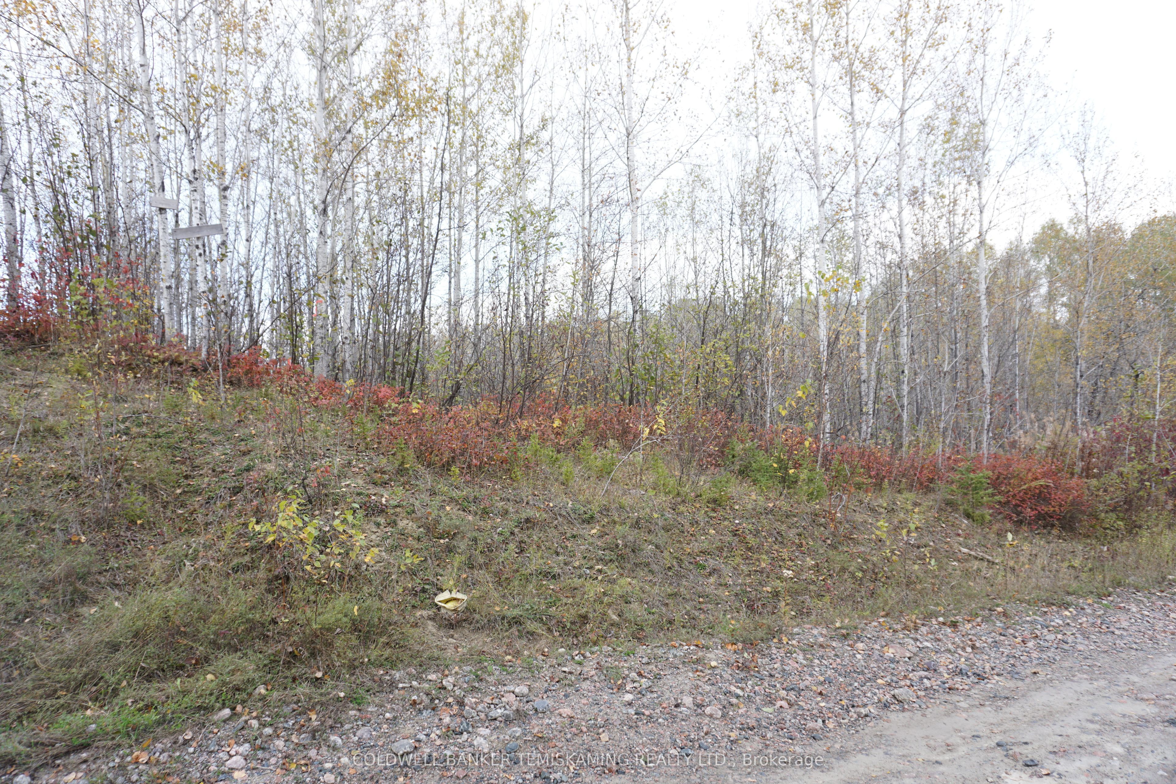 Lot 1a Campbells Road Property Photo 11