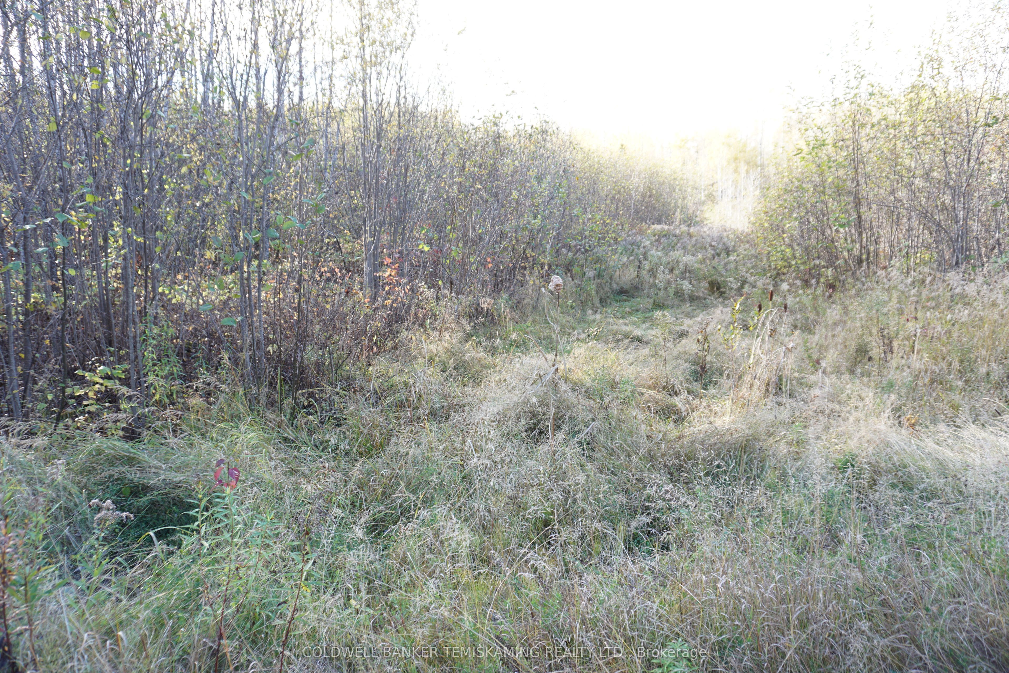 Lot 1a Campbells Road Property Photo 12