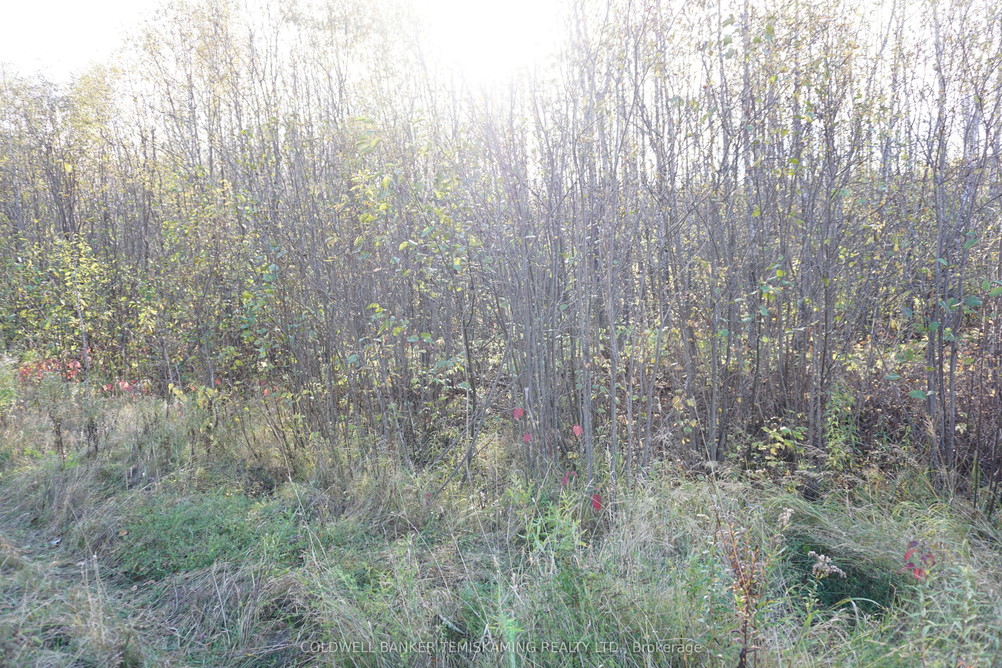 Lot 1a Campbells Road Property Photo 13