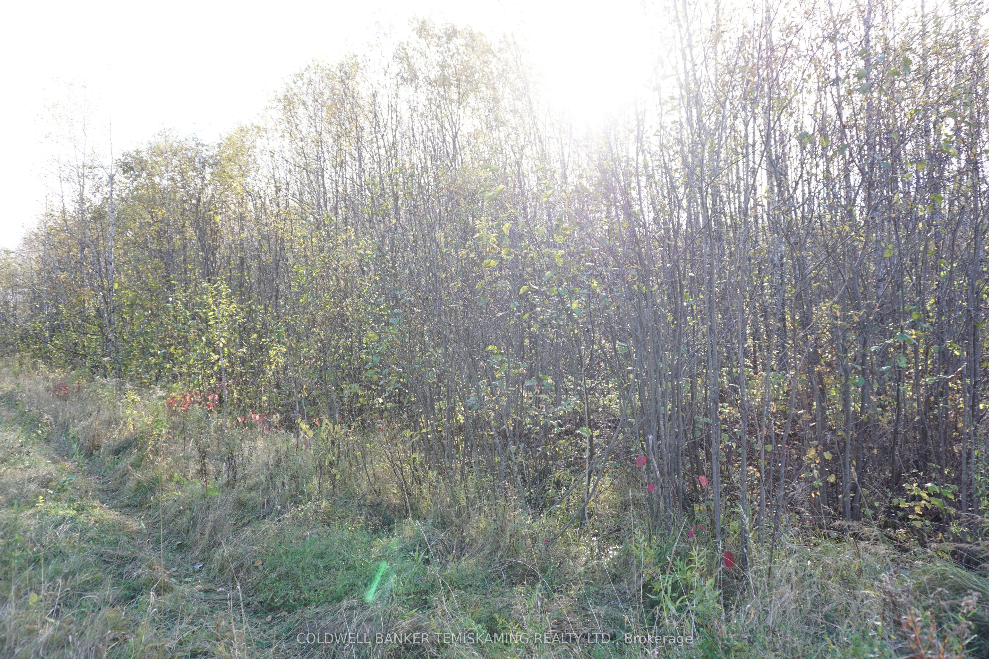 Lot 1a Campbells Road Property Photo 14