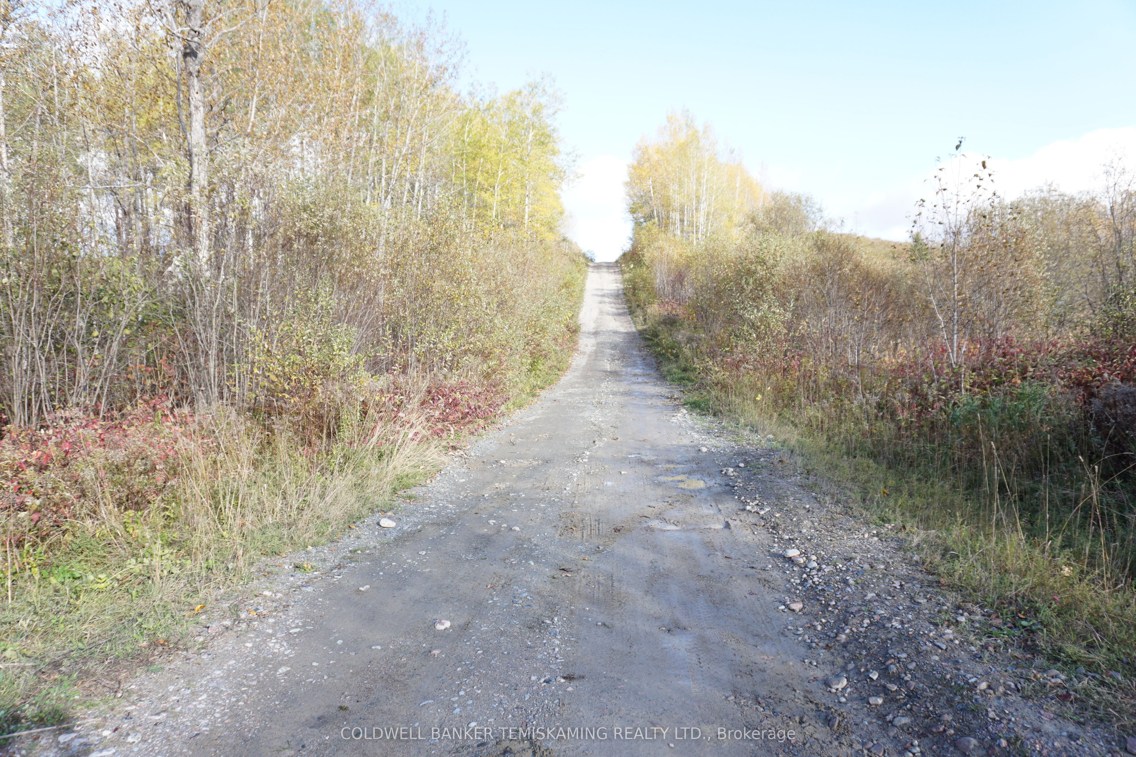 Lot 1a Campbells Road Property Photo 15