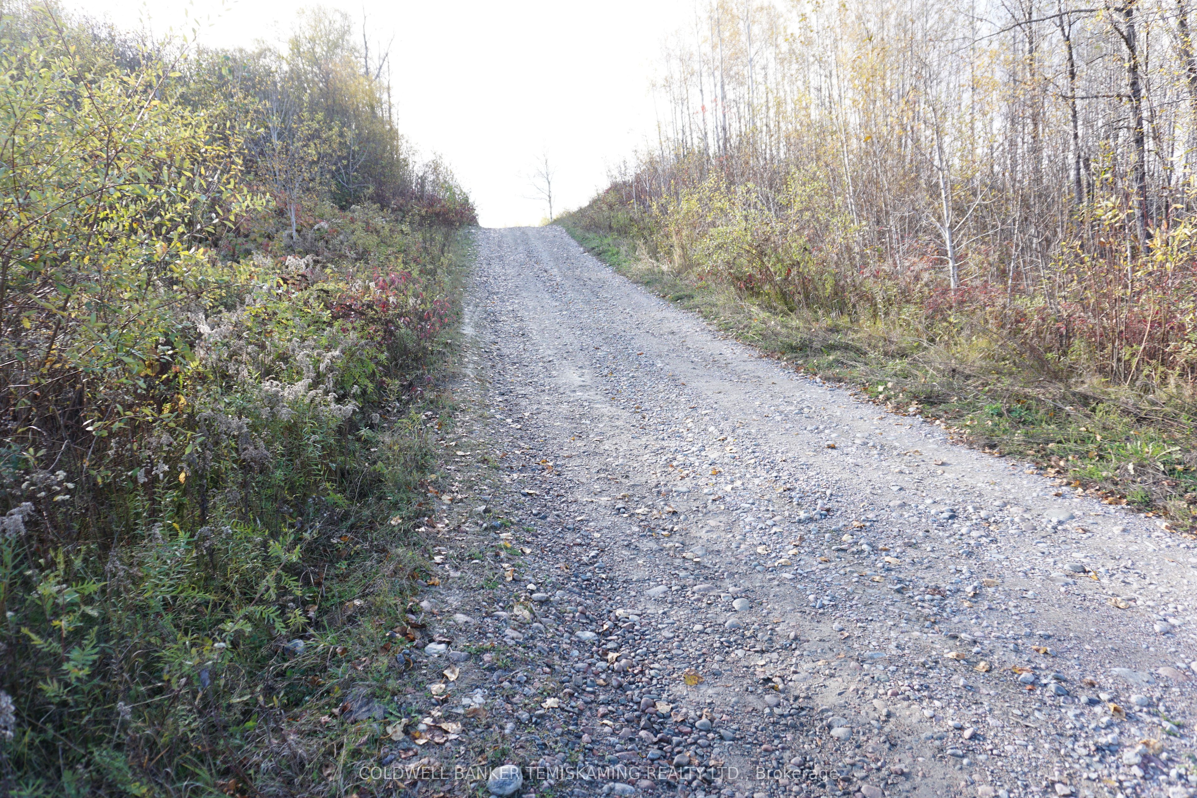 Lot 1a Campbells Road Property Photo 16