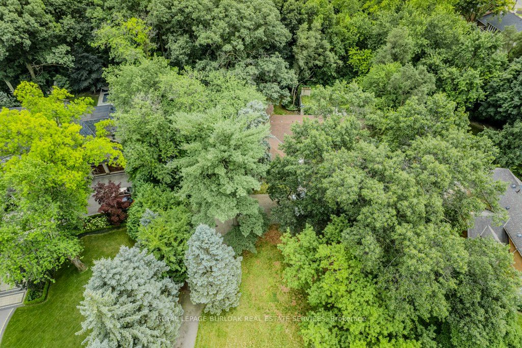 3 Edgehill Road Property Photo 6